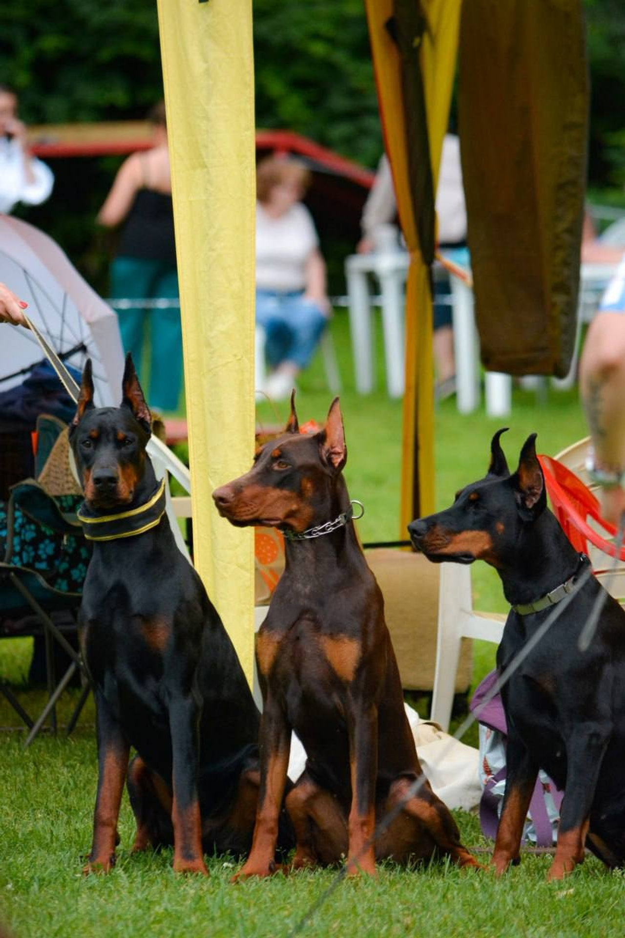 Анонсы и съемки. Фотограф Евгения Саботаж в г. Москва