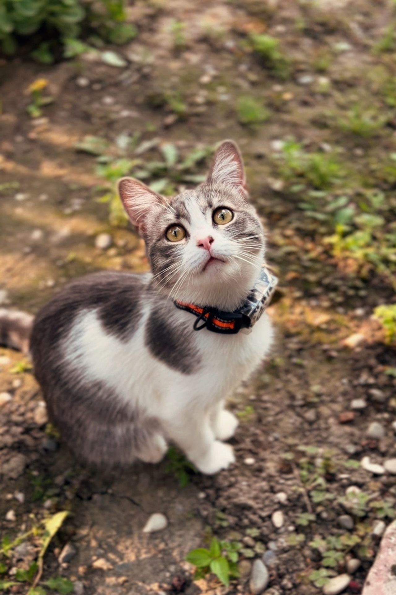 Блог. Семейный и детский фотограф в Грозном