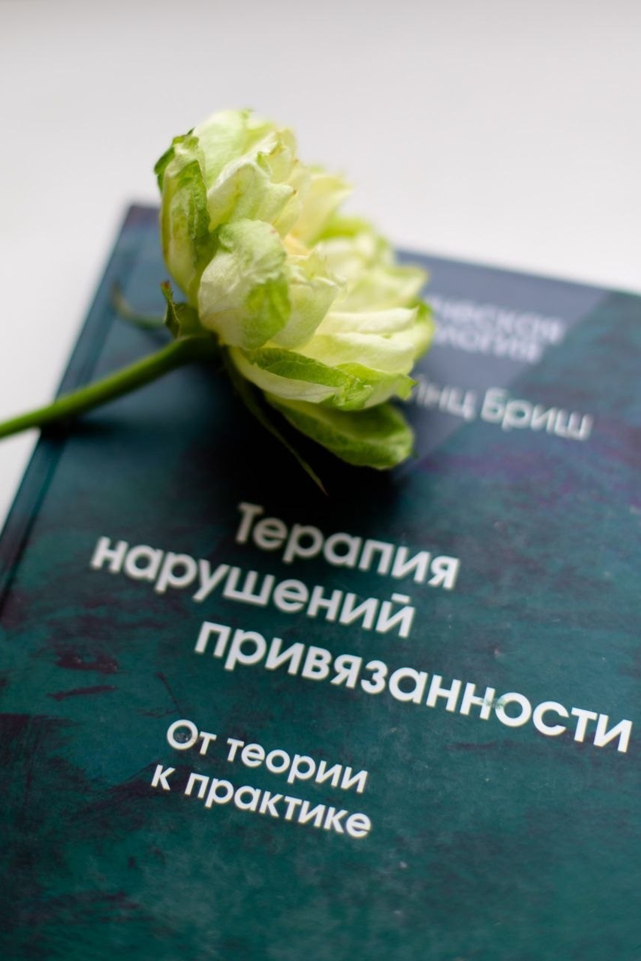 Статьи. Психолог и психоаналитический психотерапевт Юлия Шадрунова