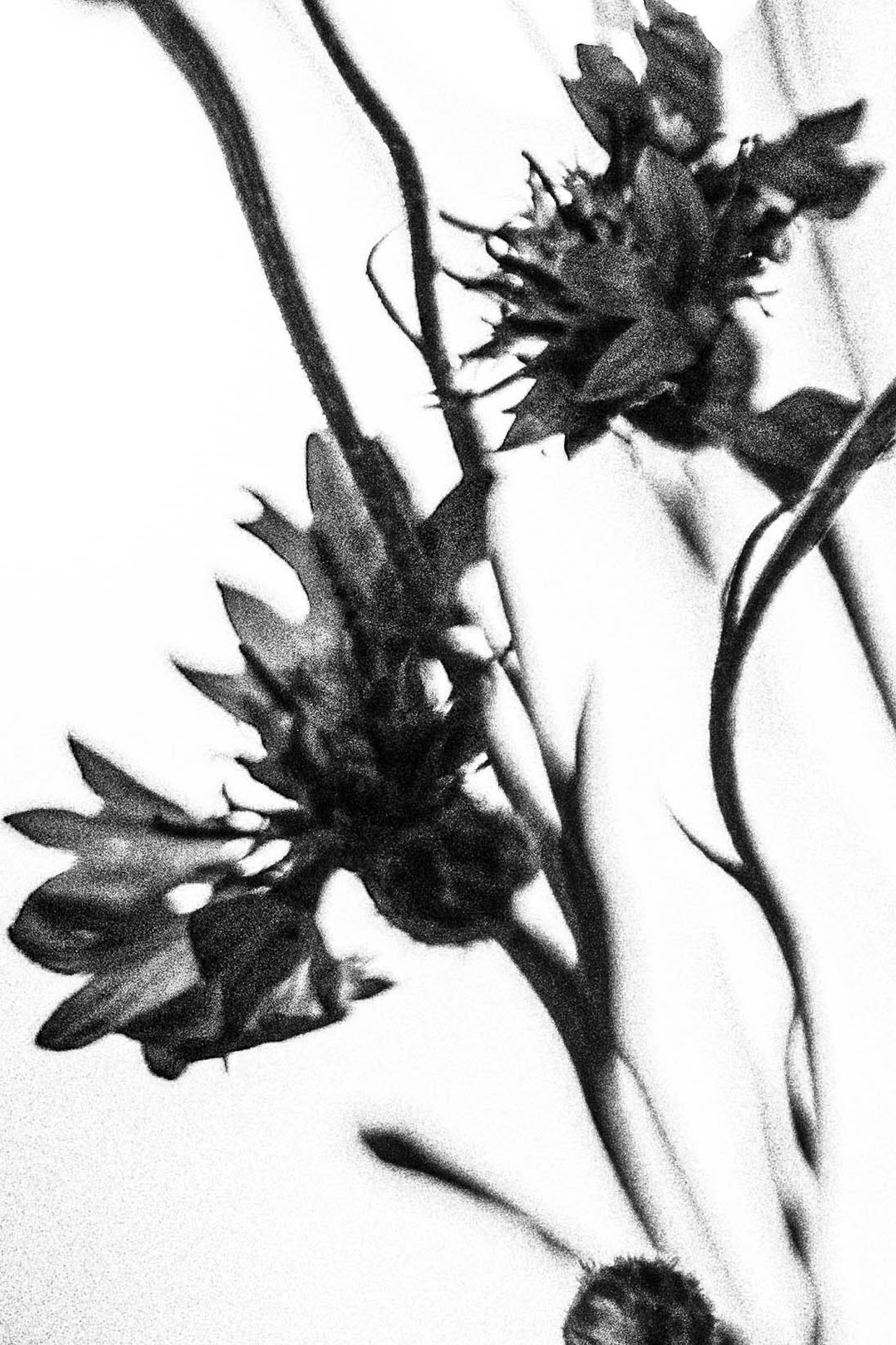 PROJECT. YAKUBOVICH EVA PHOTOGRAHER