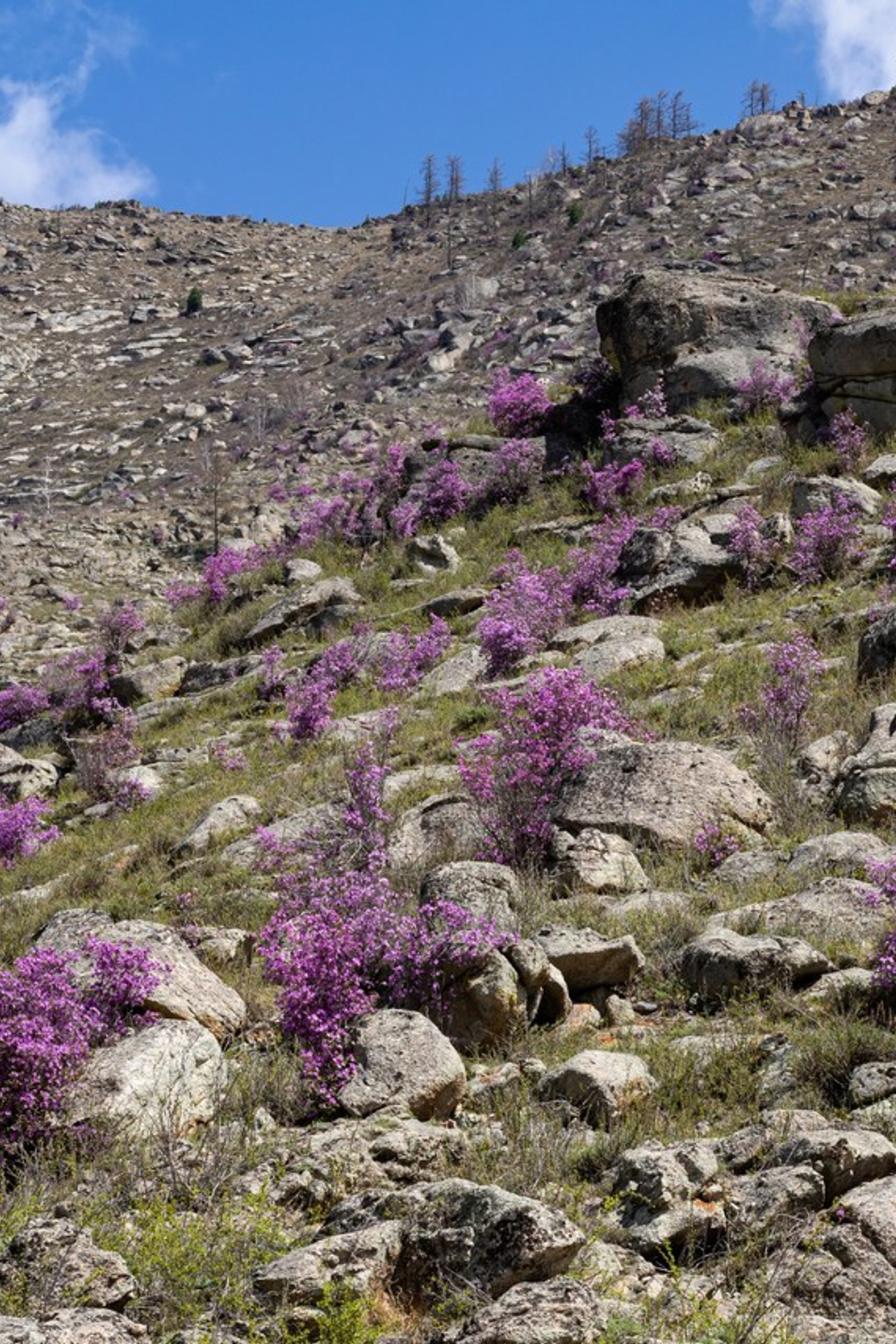 Отзывы. Фотограф в Кемерово Анна Оськина