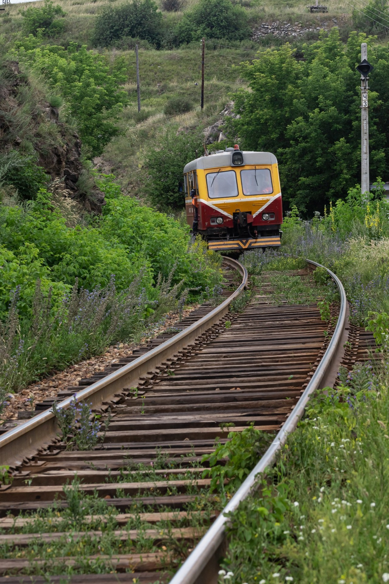Отзывы. Фотограф в Кемерово Анна Оськина