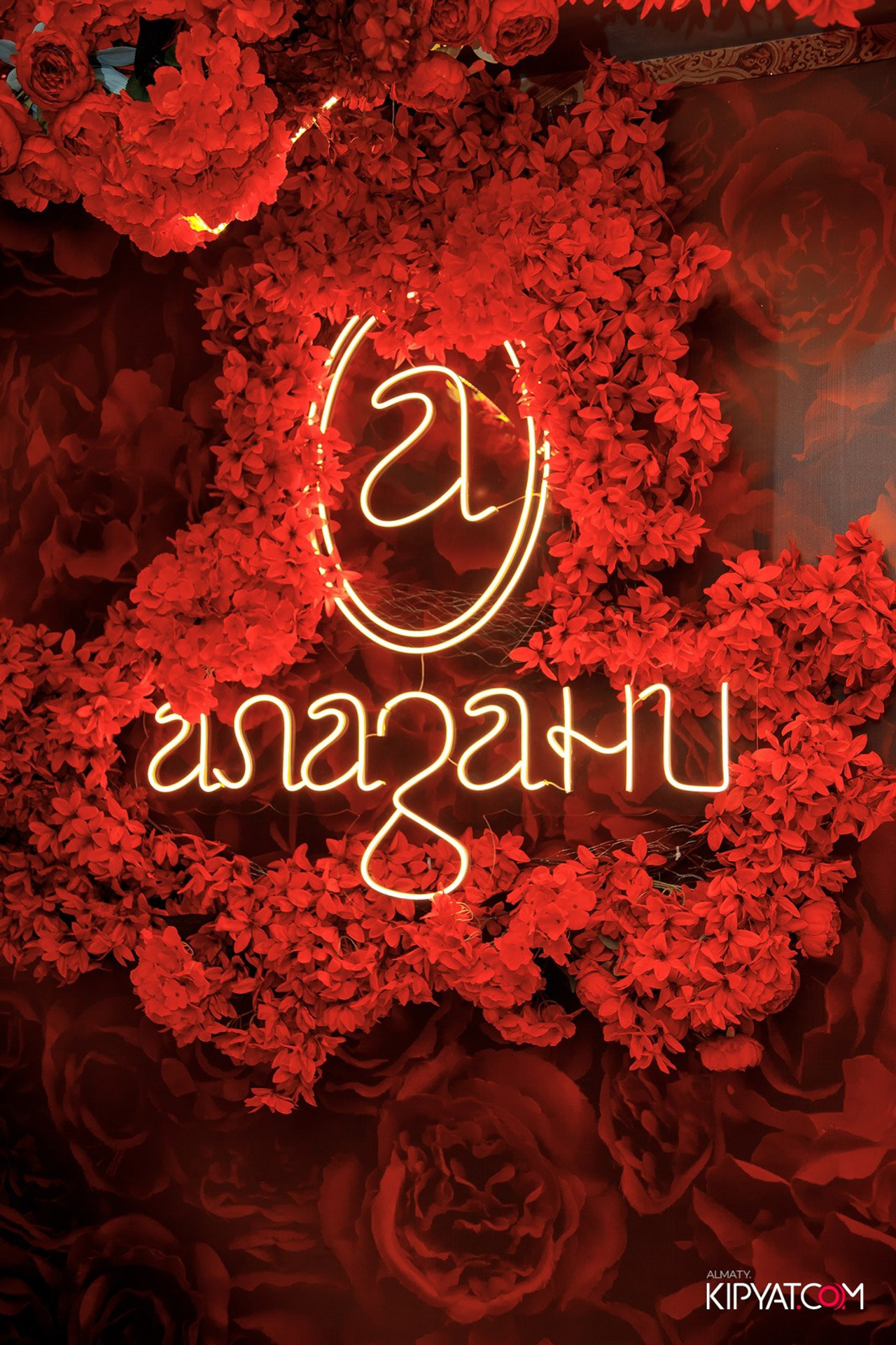 Фотоотчеты. КИПЯТКОМ АЛМАТЫ!