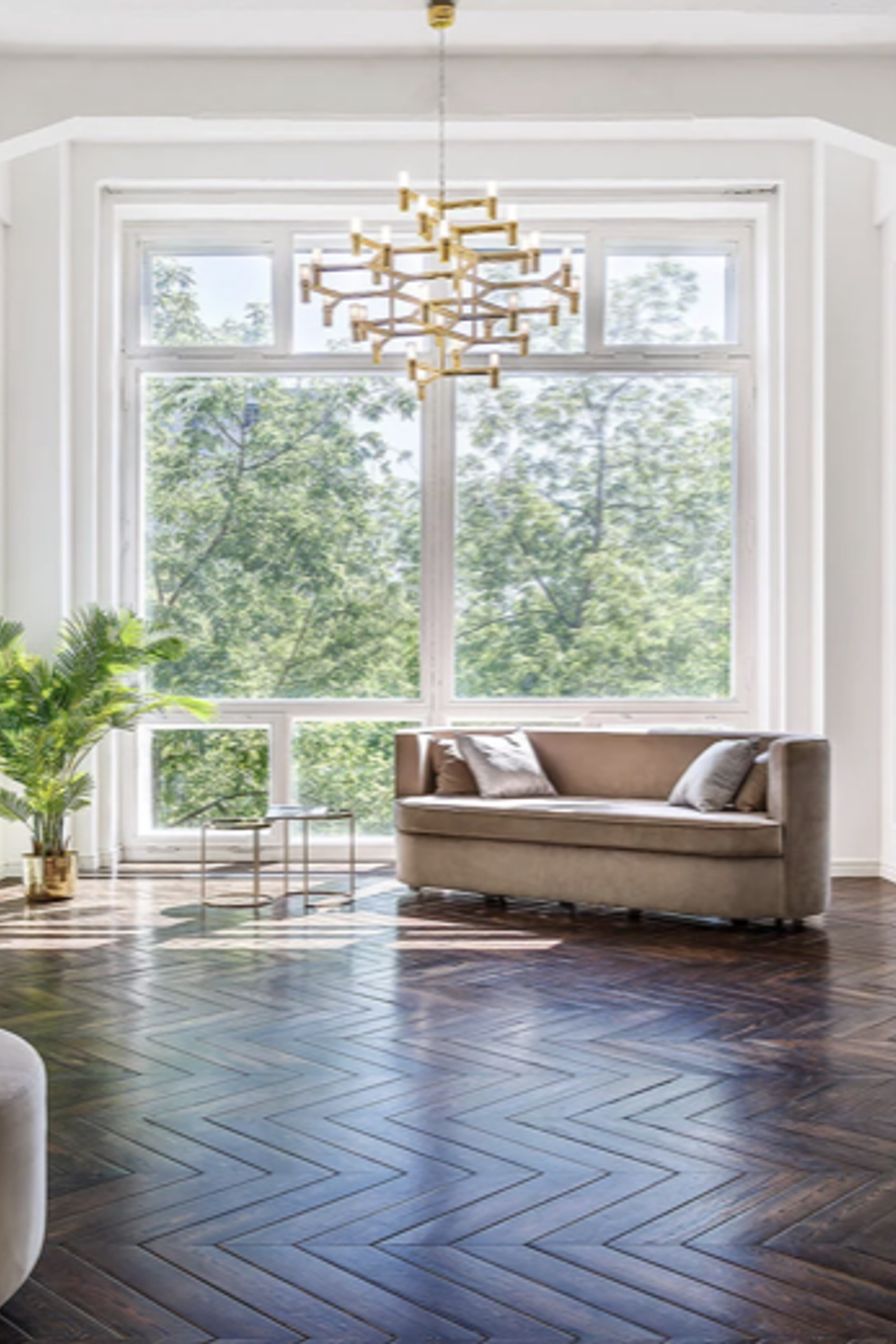 Локация для предметной съемки Дом. уют Lion stugios Gold Москва