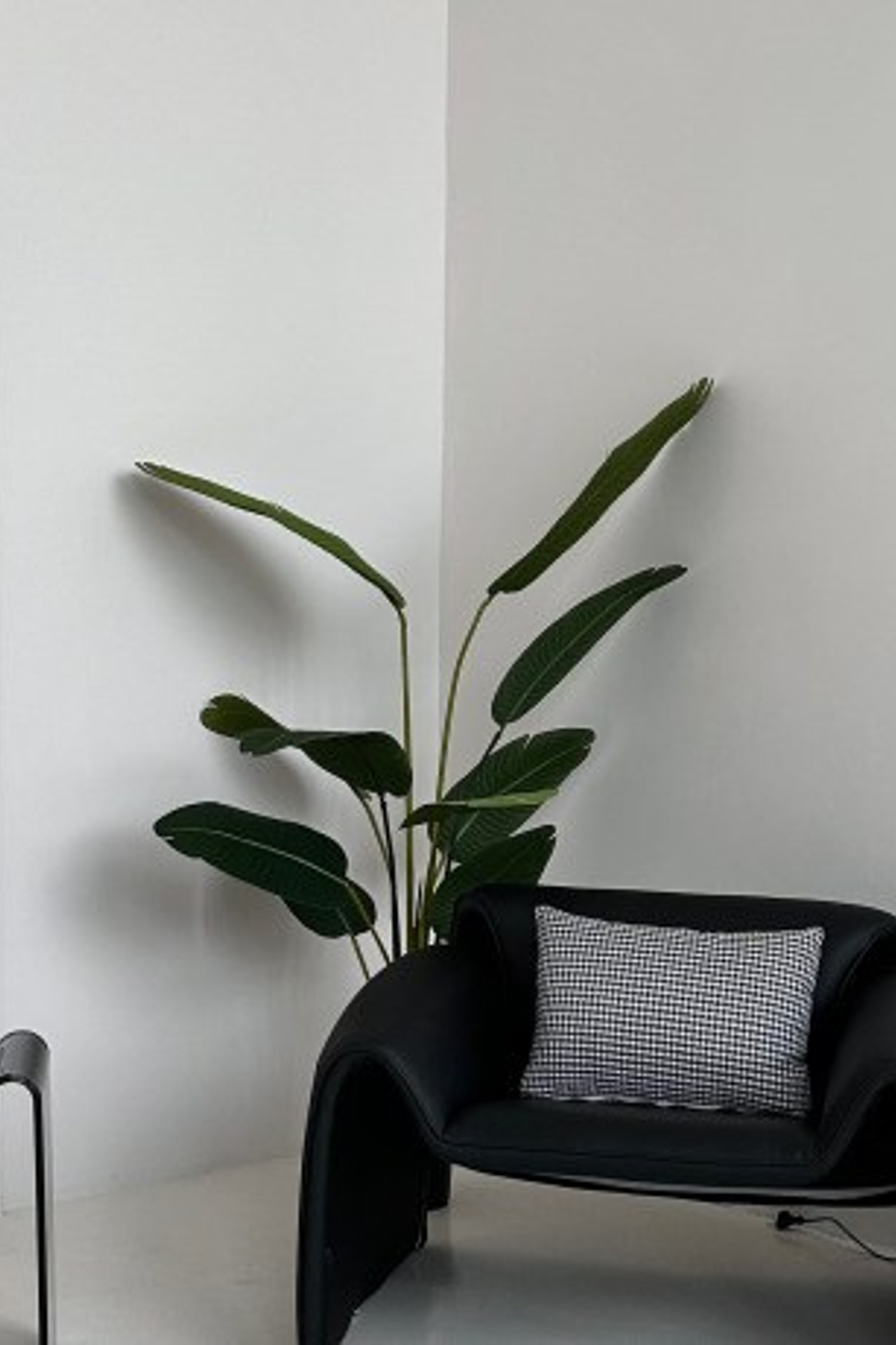 Фотостудия @2click_photostudio зал WHITE для предметной съемки Казань