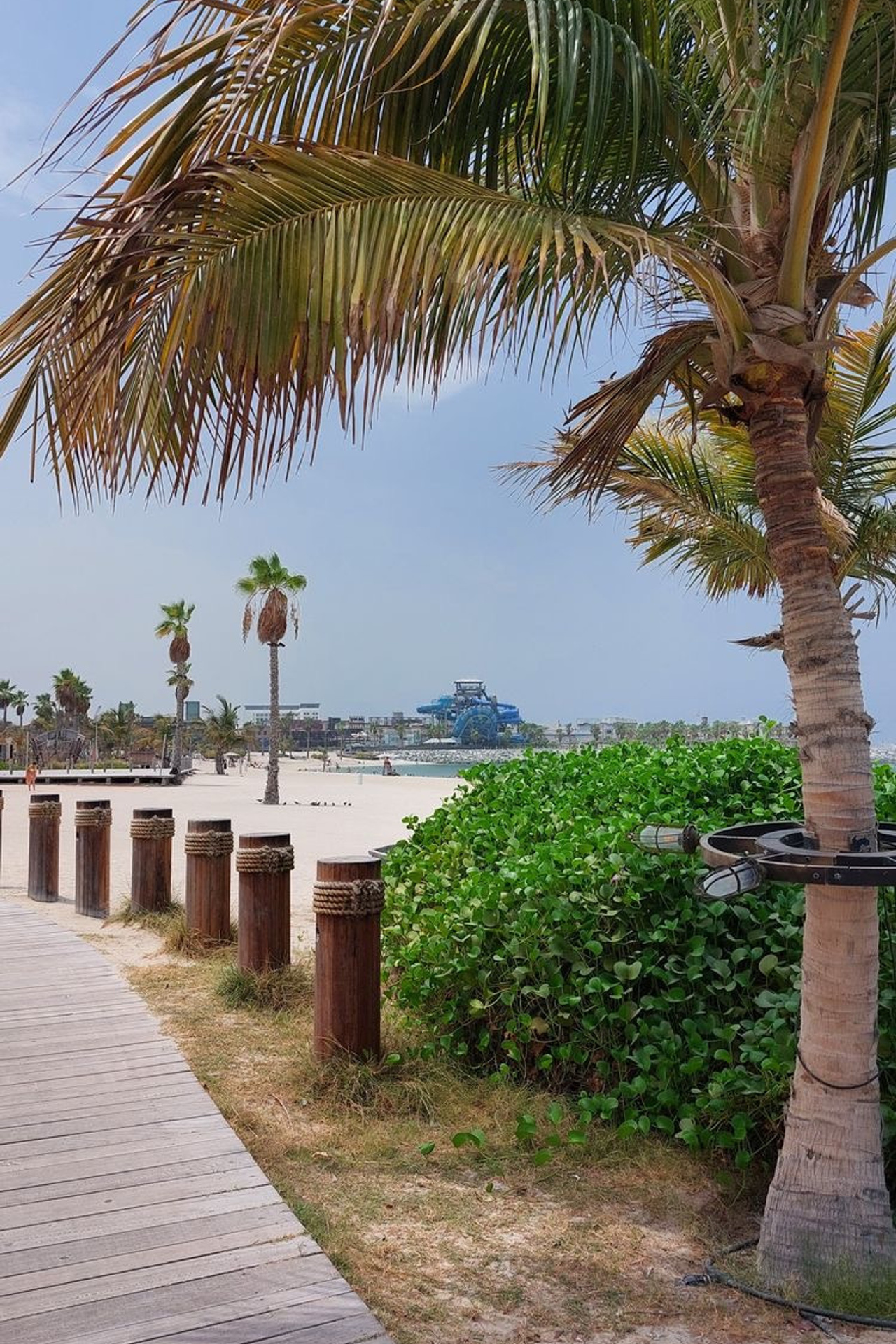 Локация Пляж La Mer для предметной съемки Дубай|Sale Easy