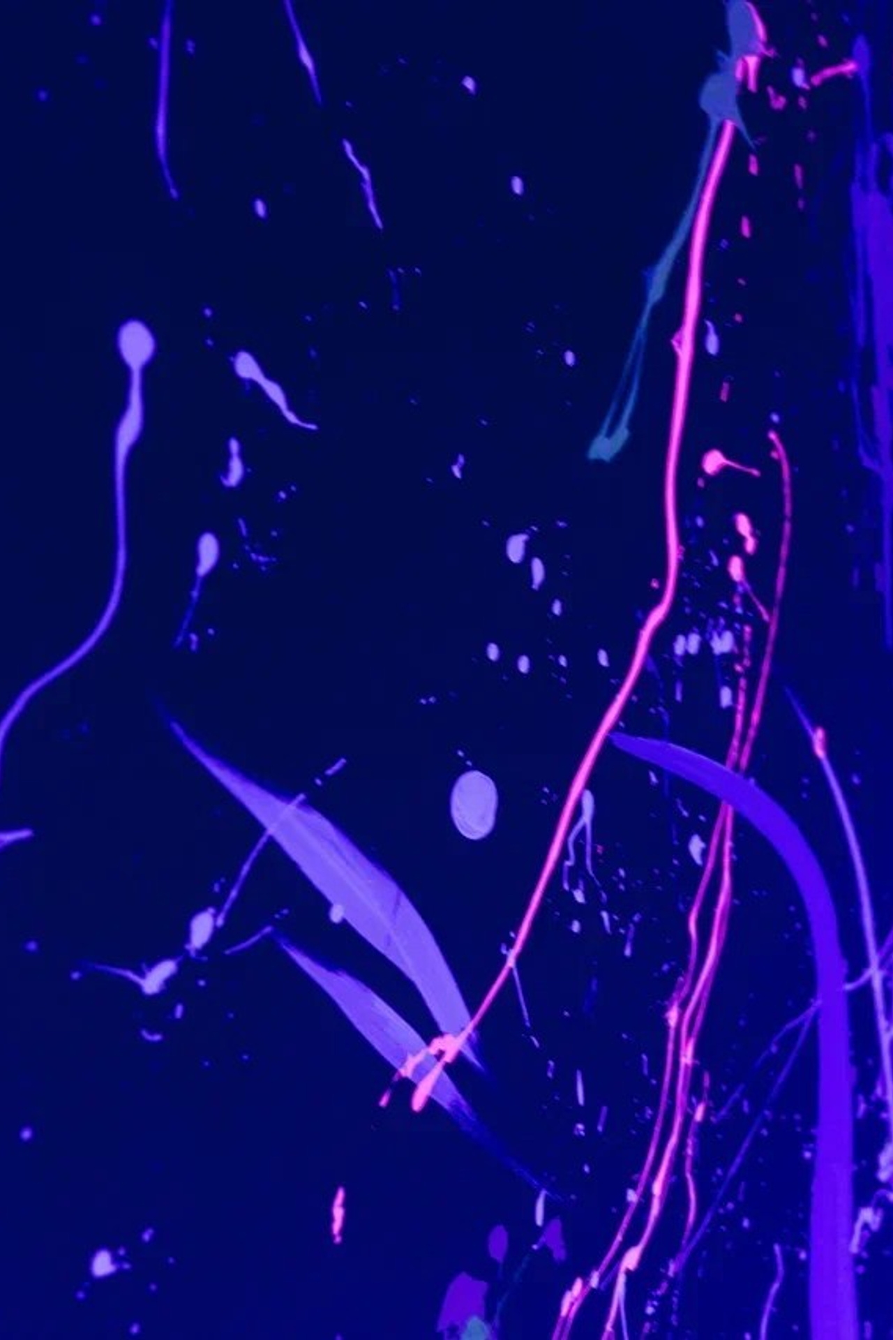 Студия Тейя — Зал Неон для предметной съемки Н.Новгород |Sale Easy