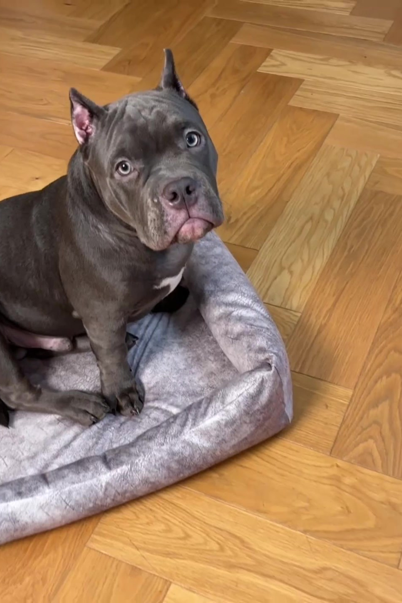 Портфолио видеосъемка других товаров для маркетплейсов | Sale Easy