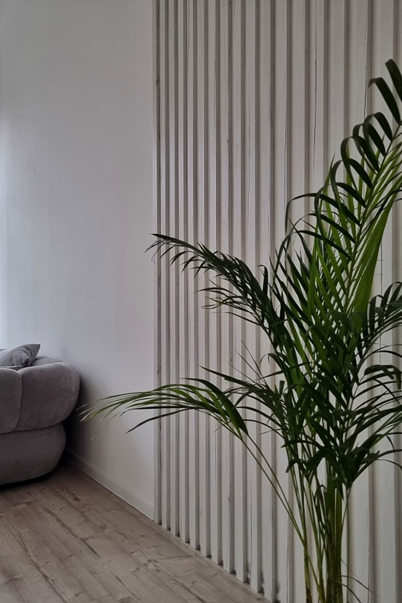 Студия для предметной съемки REPLACE — COZY Москва | Sale Easy