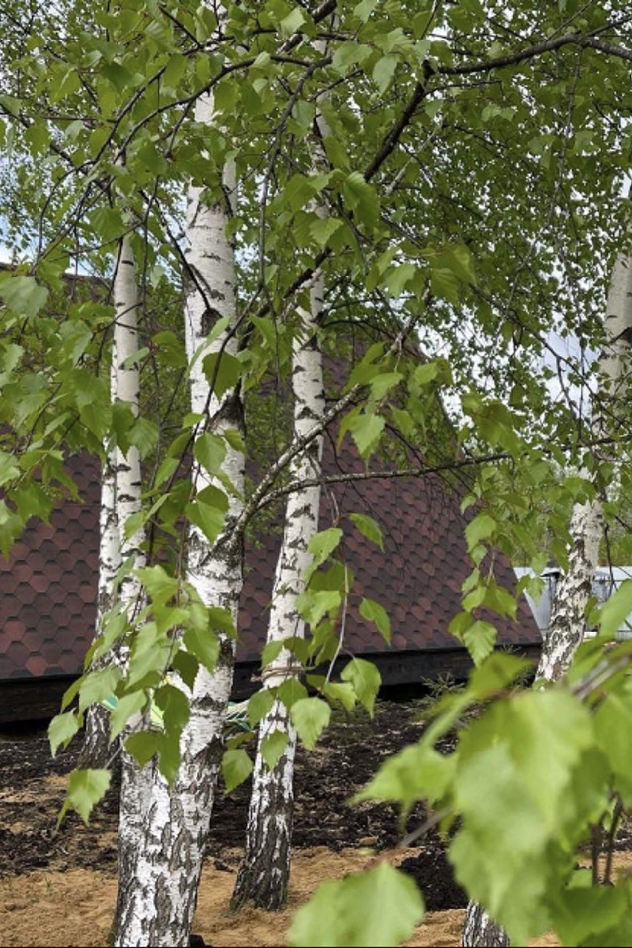 Квартира для предметной съемки Дом бунгало a-frame Москва