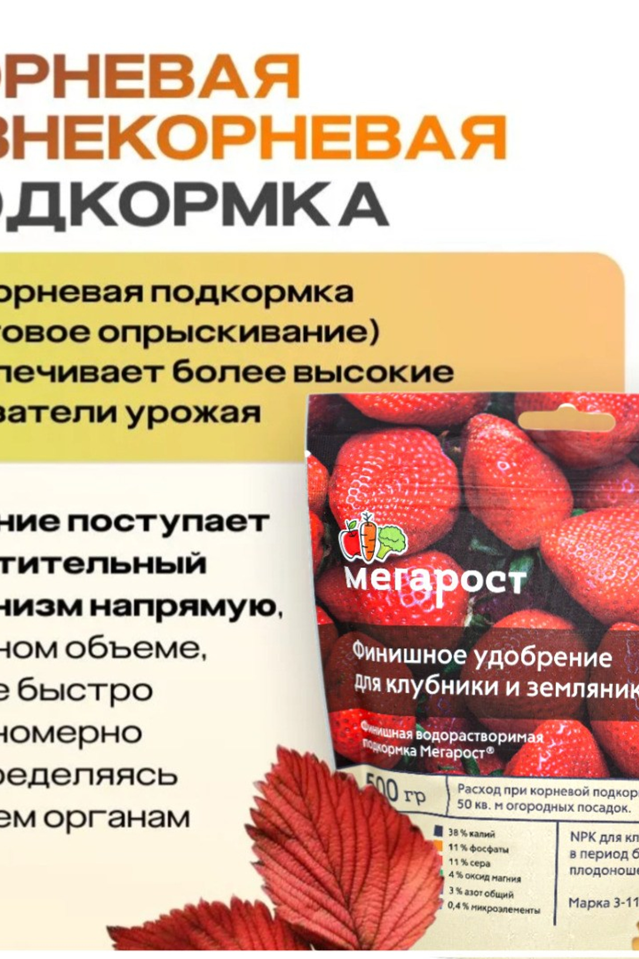 Рич-контент. Предметная съёмка для маркетплейсов — фото и видео | Sale Easy