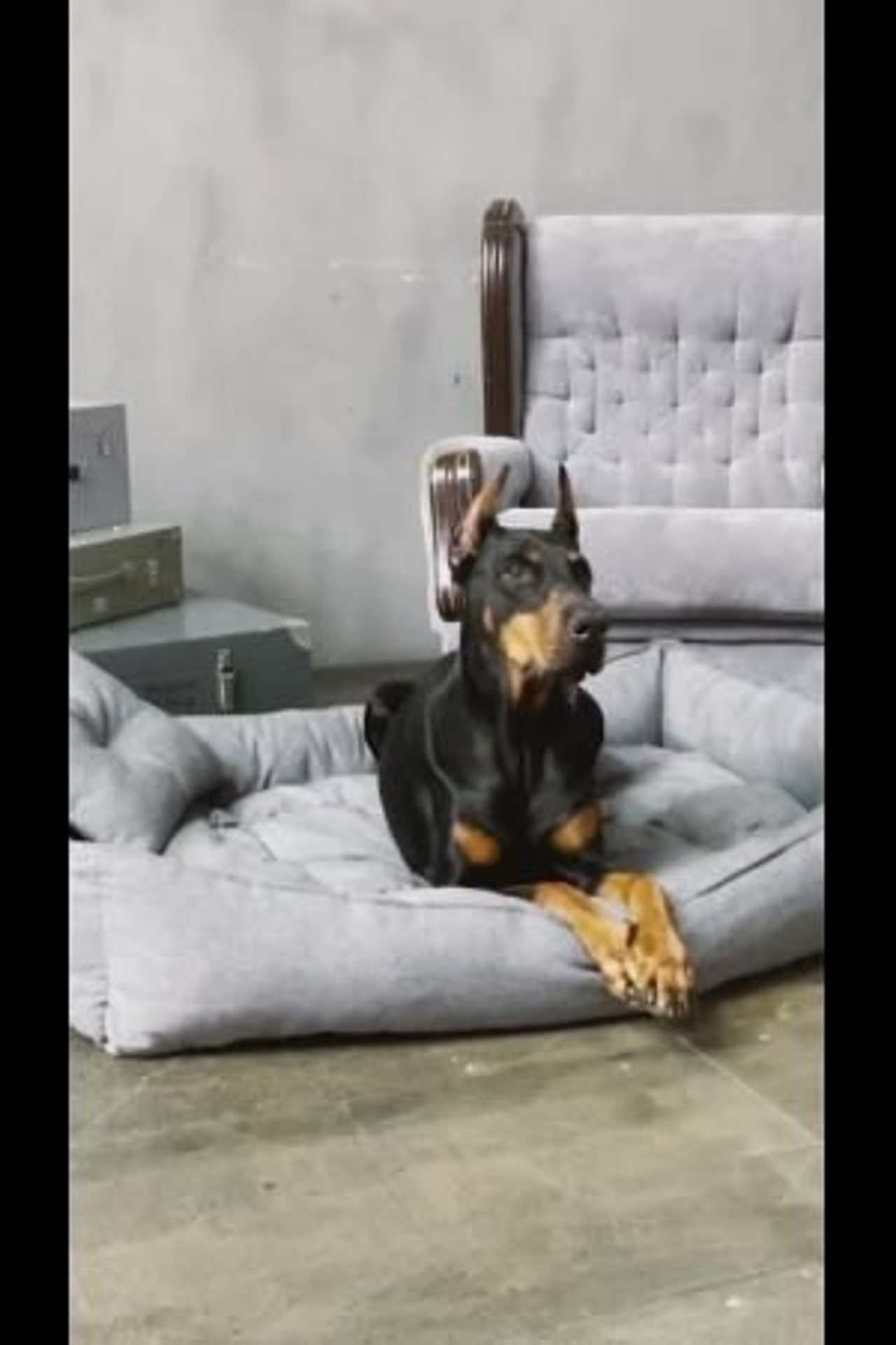 Портфолио видеосъемка других товаров для маркетплейсов | Sale Easy