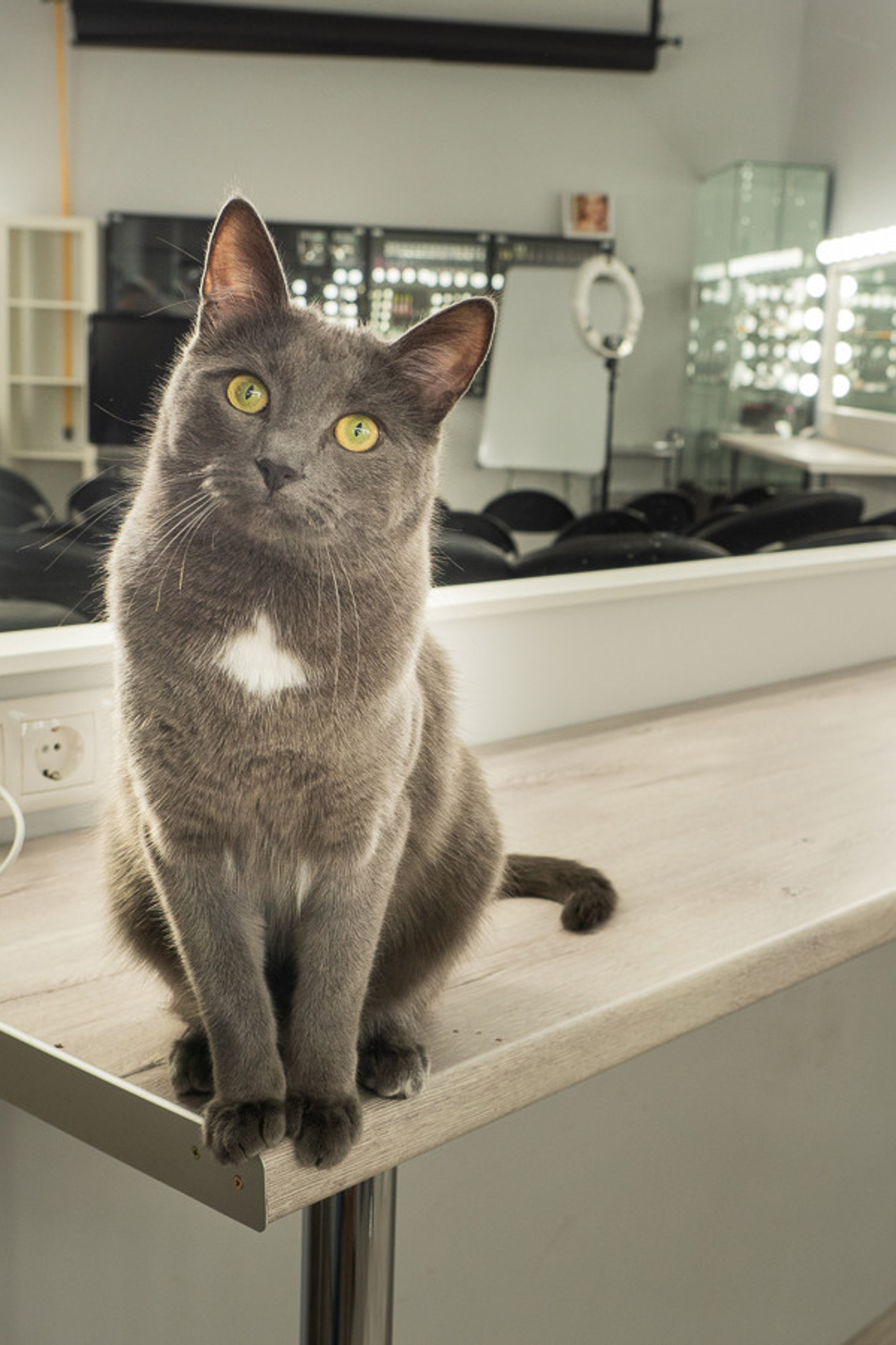 Студия Fotofabrika Рубин для предметной съемки Москва | Sale Easy