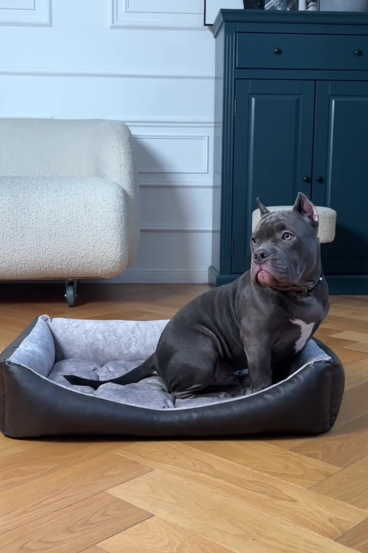 Портфолио видеосъемка других товаров для маркетплейсов | Sale Easy