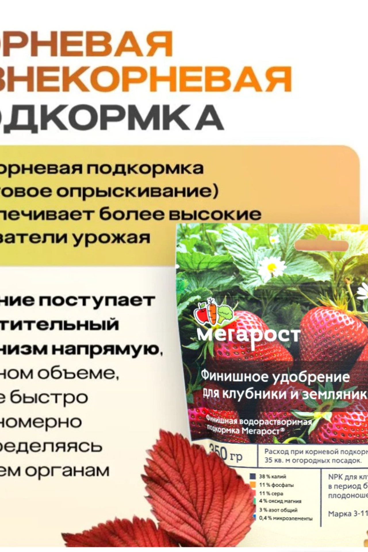 Рич-контент. Предметная съёмка для маркетплейсов — фото и видео | Sale Easy