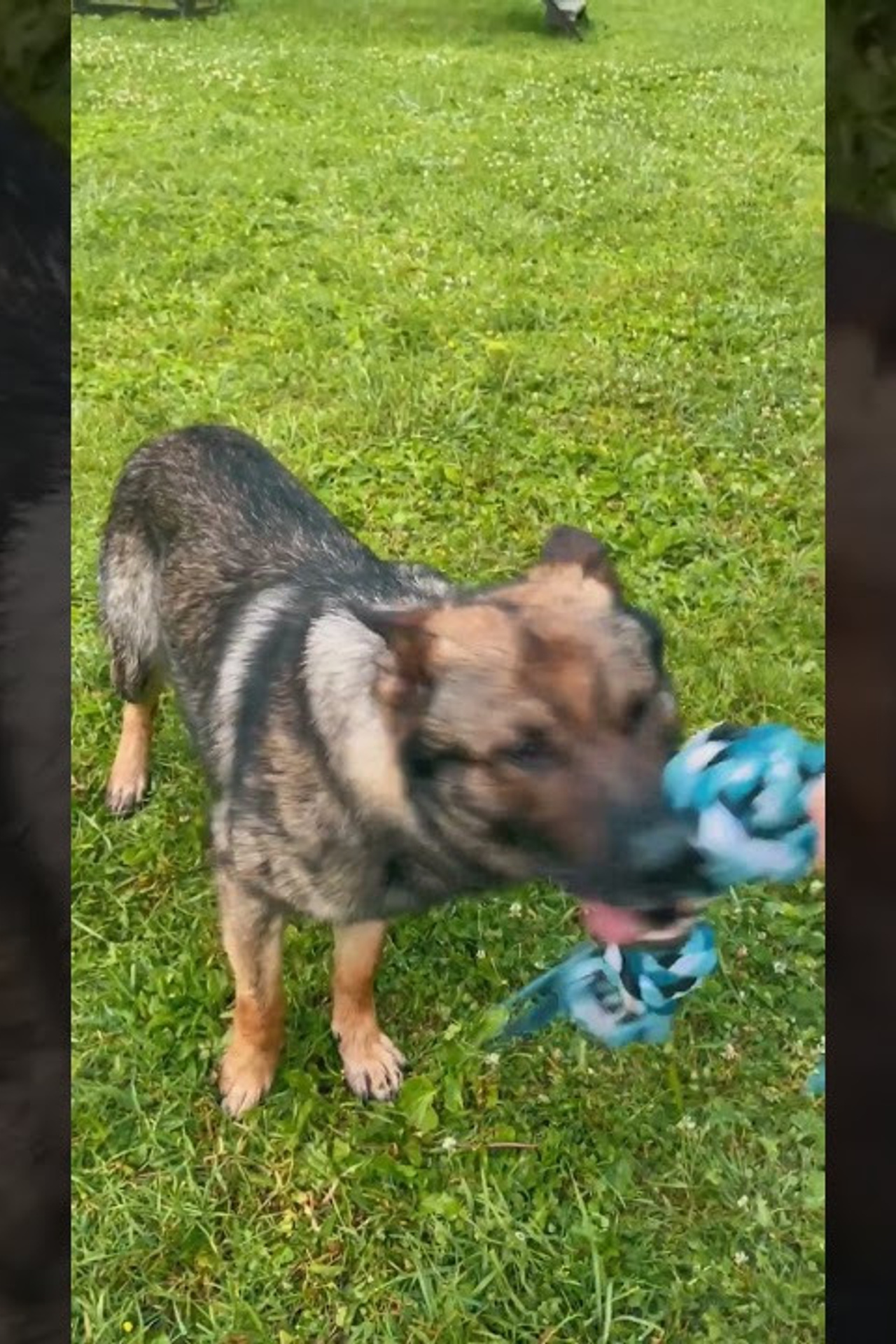 Портфолио видеосъемка других товаров для маркетплейсов | Sale Easy