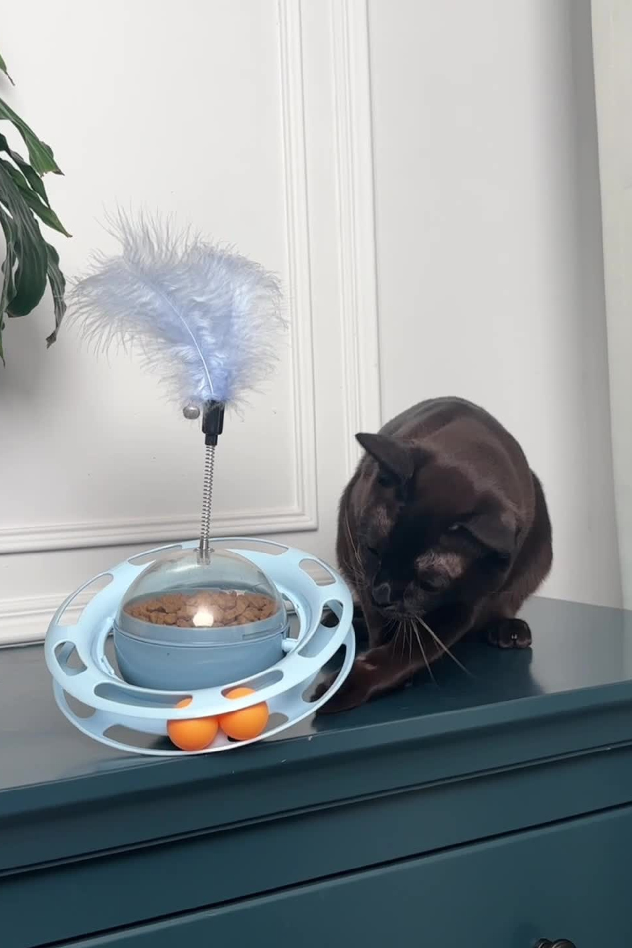 Портфолио видеосъемка других товаров для маркетплейсов | Sale Easy