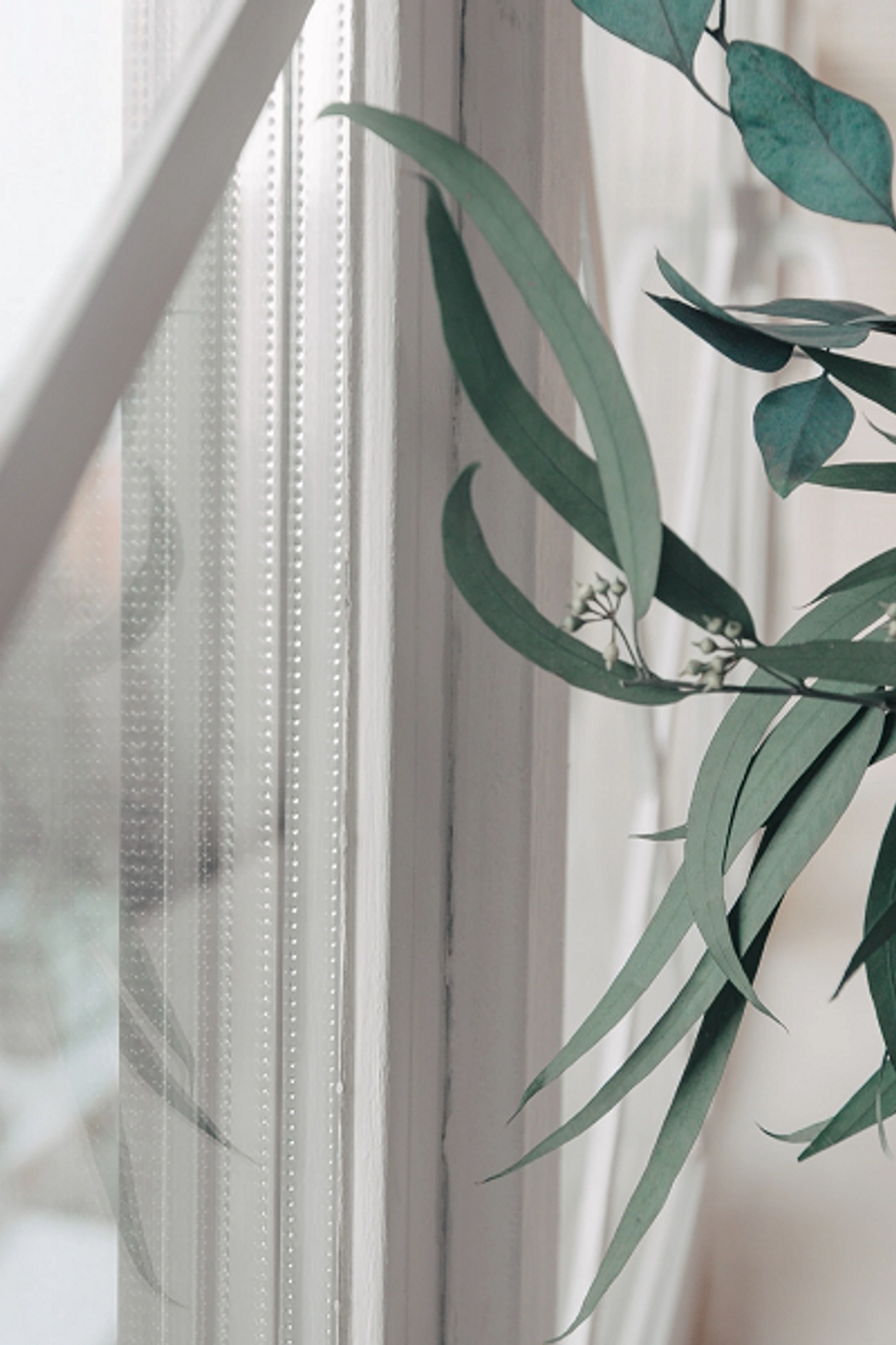 Студия Бархат Ваниль для предметной съемки Красноярск|Sale Easy