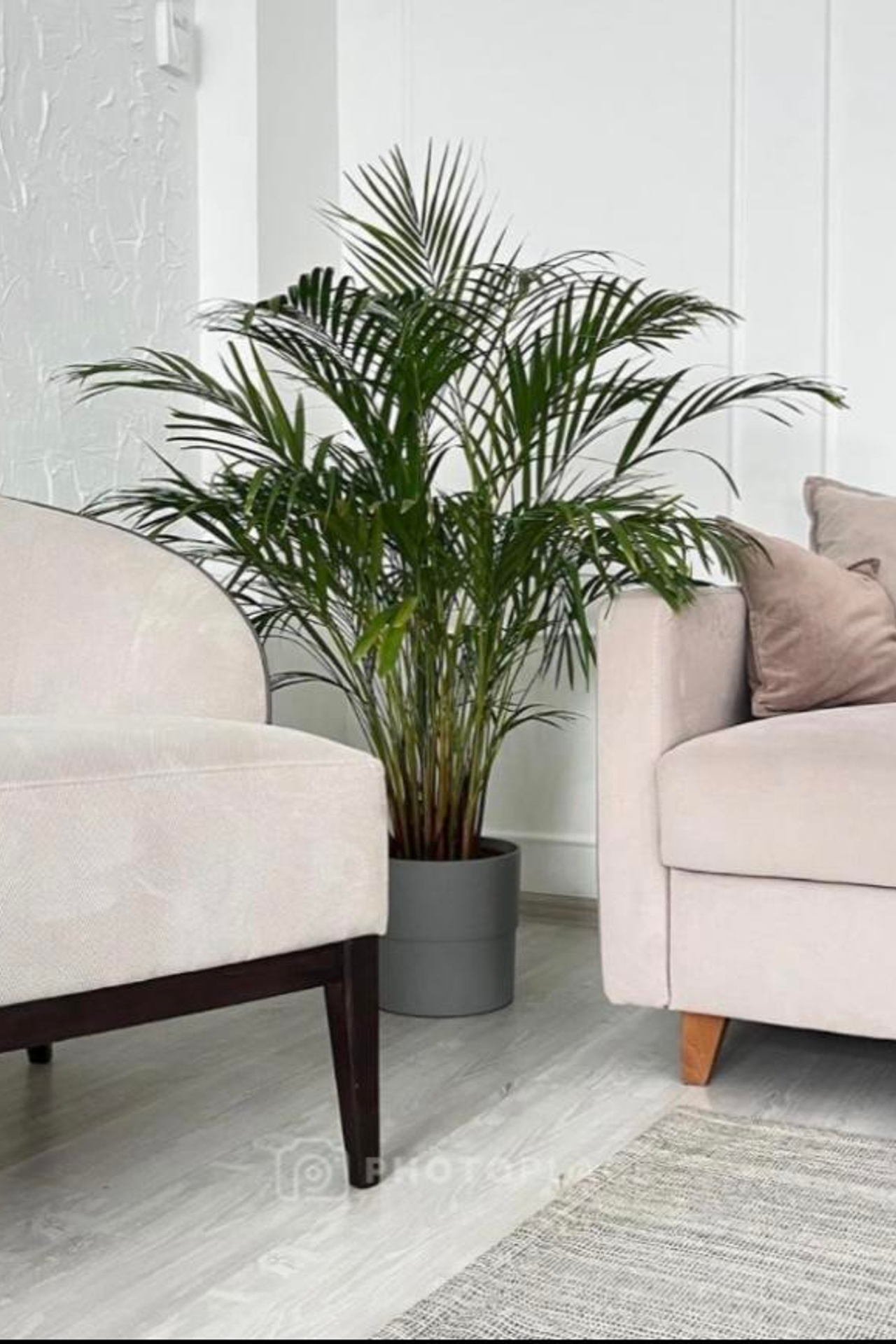 Студия Prosvet Интерьерный для предметной съемки Казань|Sale Easy