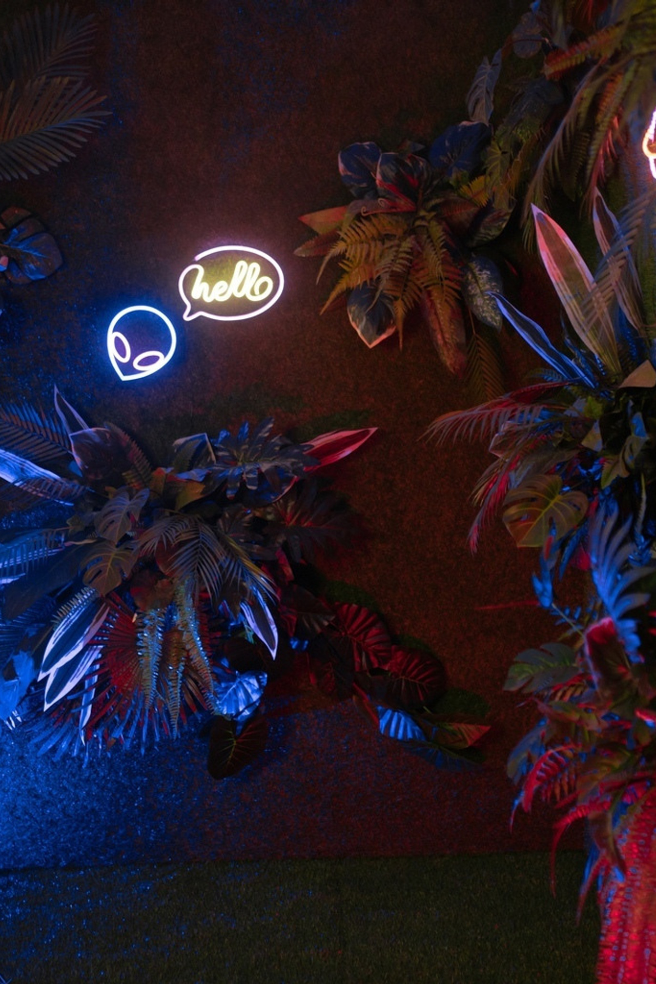 Студия ASAP — локация Тропики для предм. съемки С.-Пб|Sale Easy