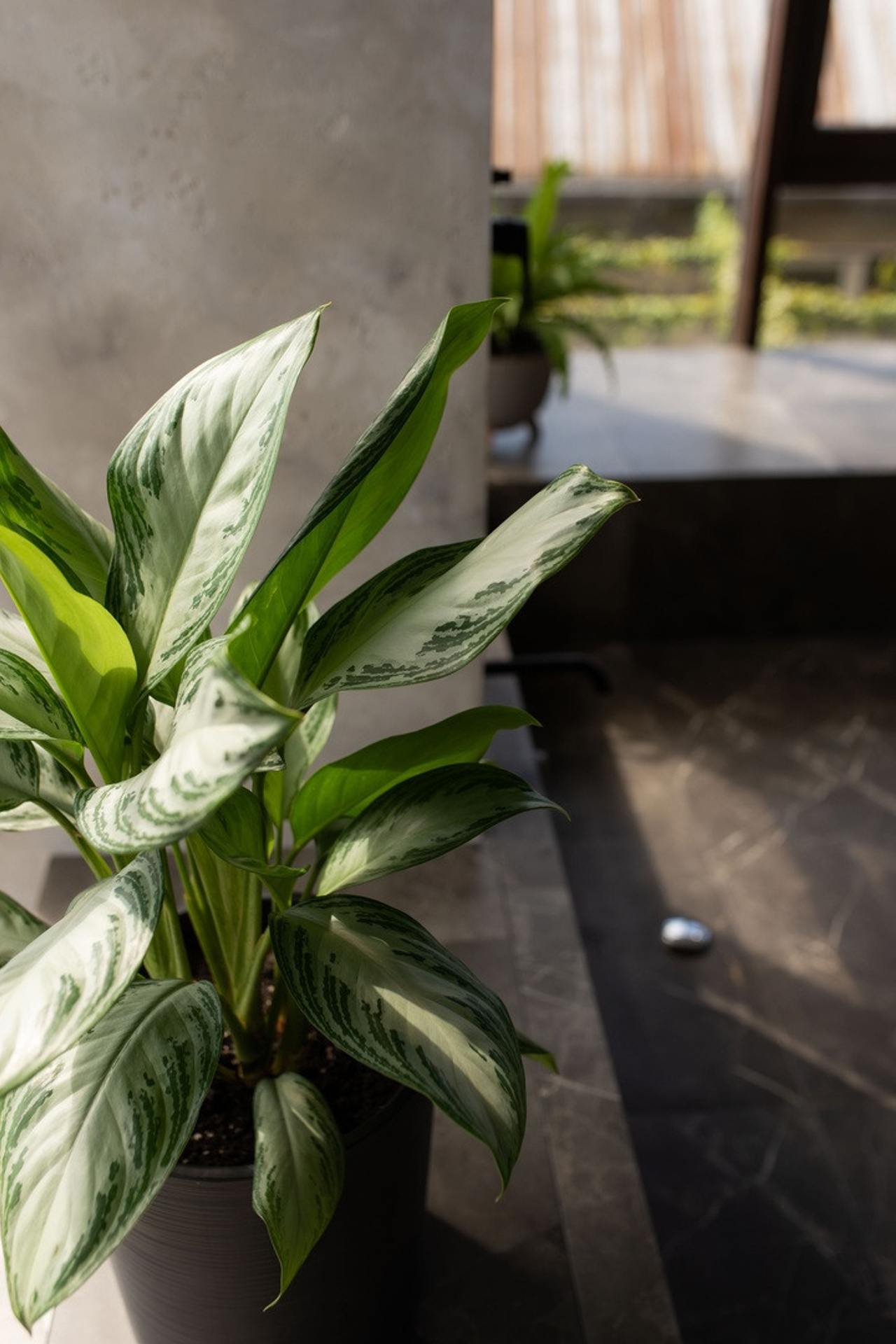 Студия 2412STUDIO Зал #1 для предметной съемки Сочи|Sale Easy