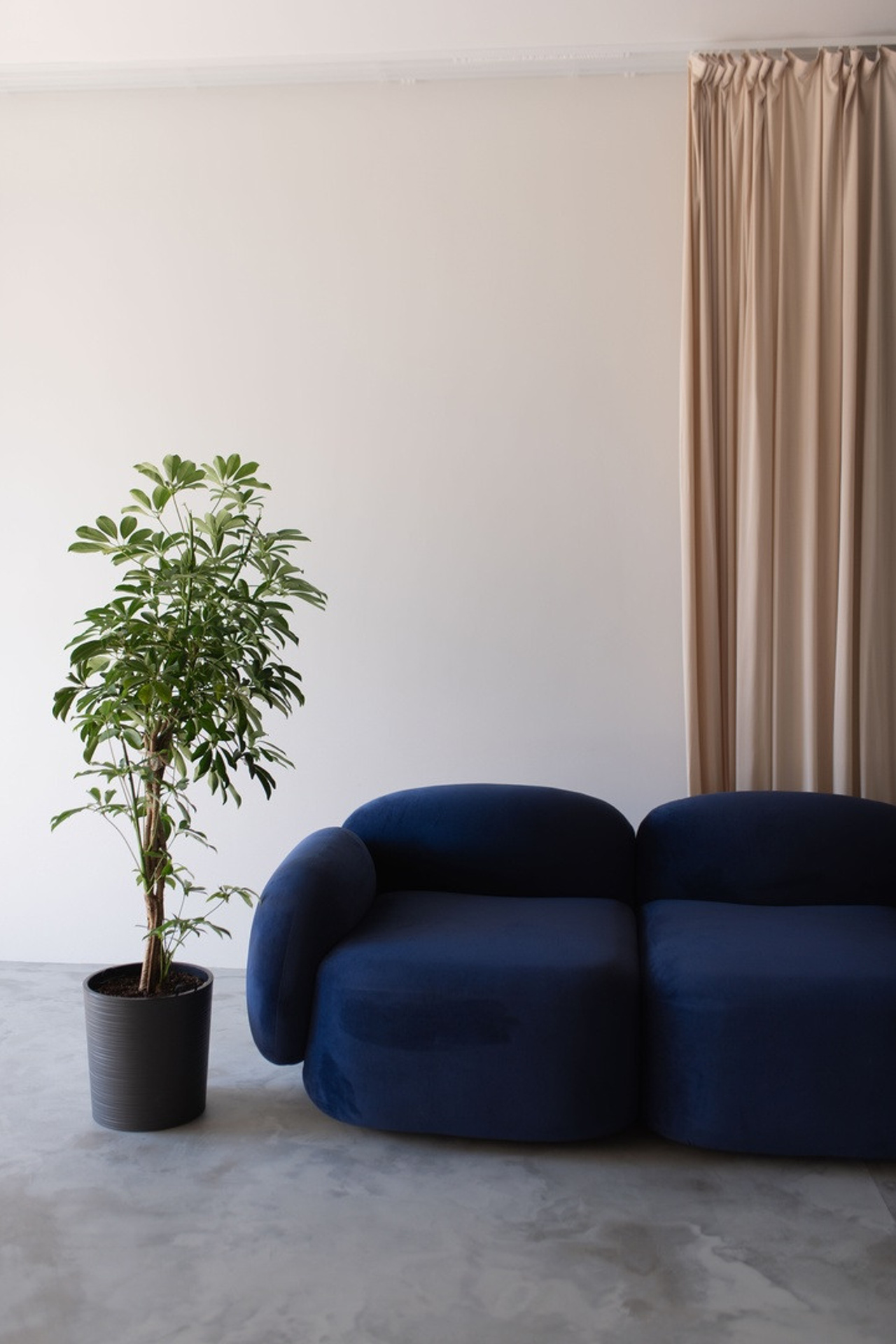 Студия 2412STUDIO Зал #3 для предметной съемки Сочи|Sale Easy