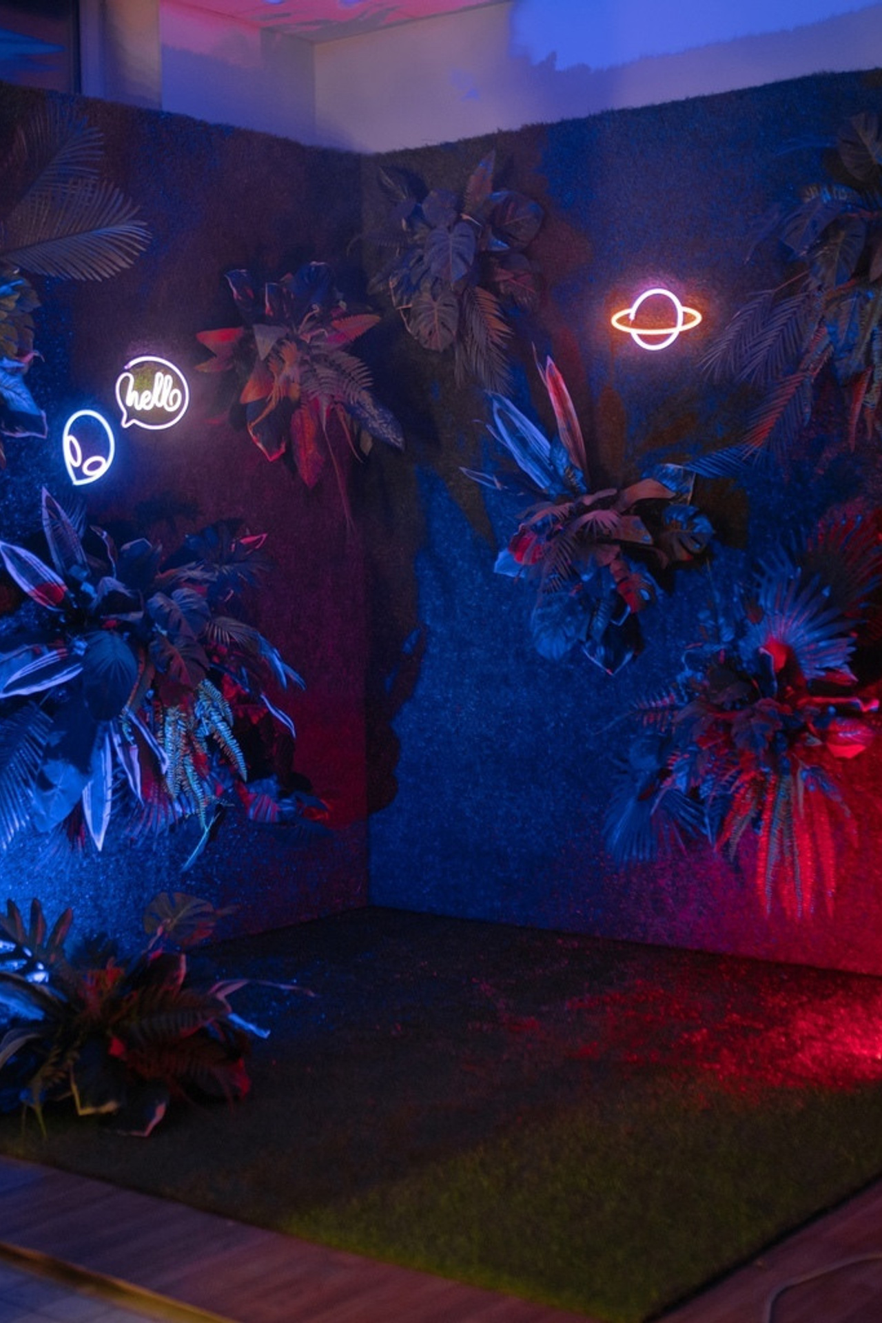 Студия ASAP — локация Тропики для предм. съемки С.-Пб|Sale Easy