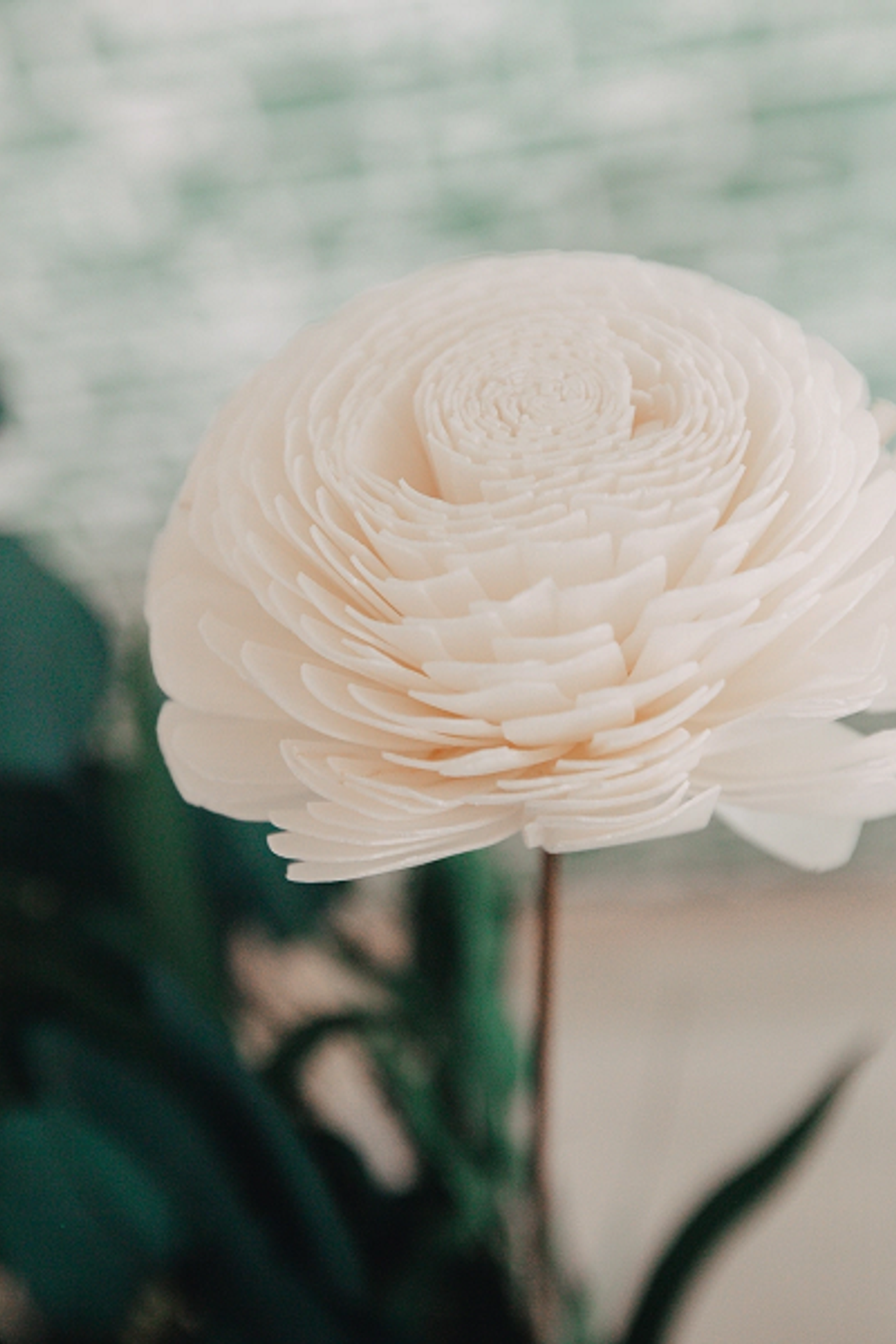 Студия Бархат Ваниль для предметной съемки Красноярск|Sale Easy