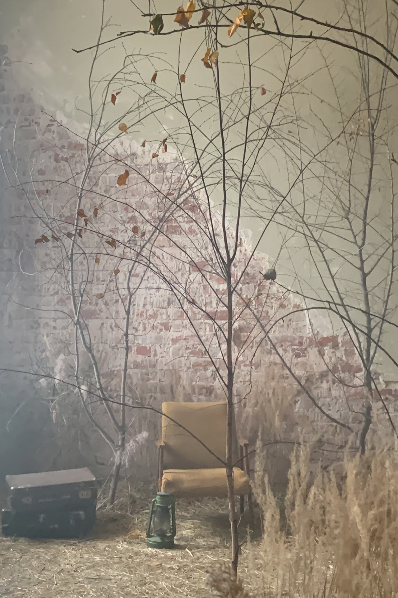 Студия Лес — Зал Лес для предметной съемки НН|Sale Easy