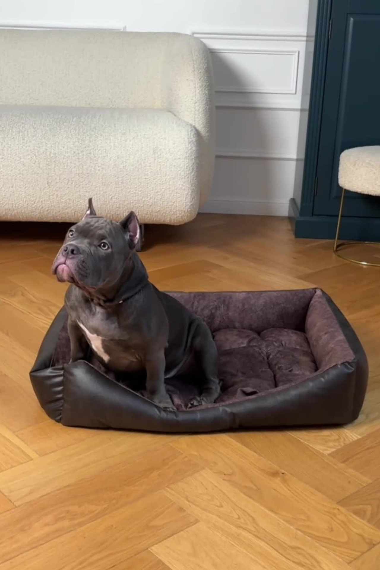 Портфолио видеосъемка других товаров для маркетплейсов | Sale Easy