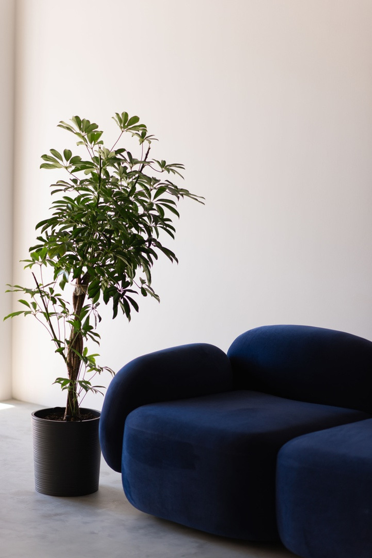 Студия 2412STUDIO Зал #3 для предметной съемки Сочи|Sale Easy