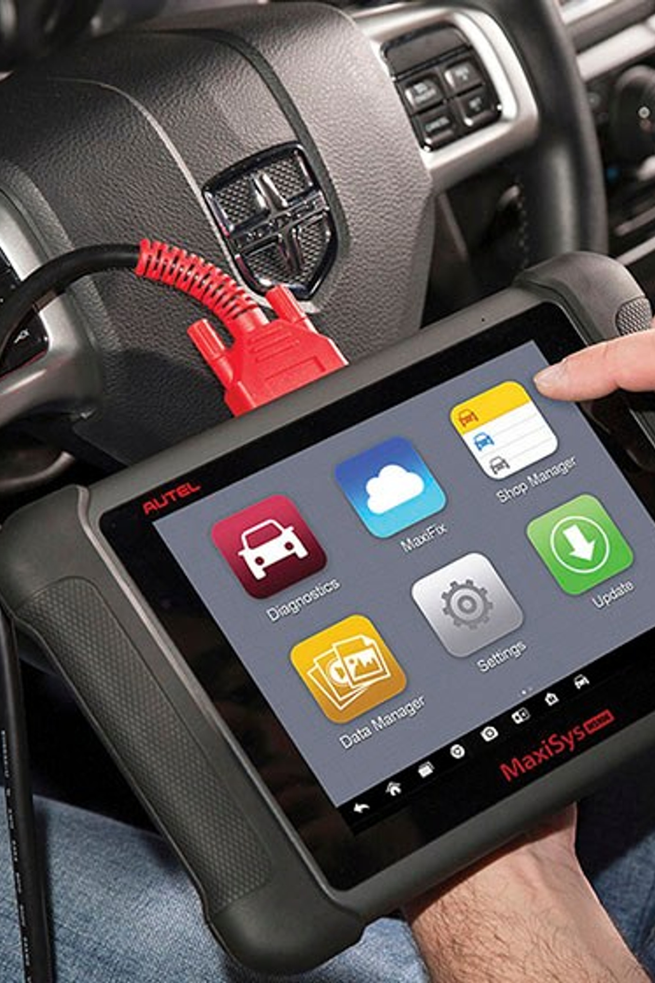 Портфолио для тендеров Ixora |Sale Easy