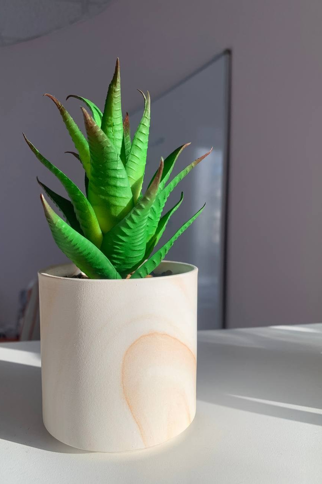 Реквизит для предметной съемки цветок в горшке