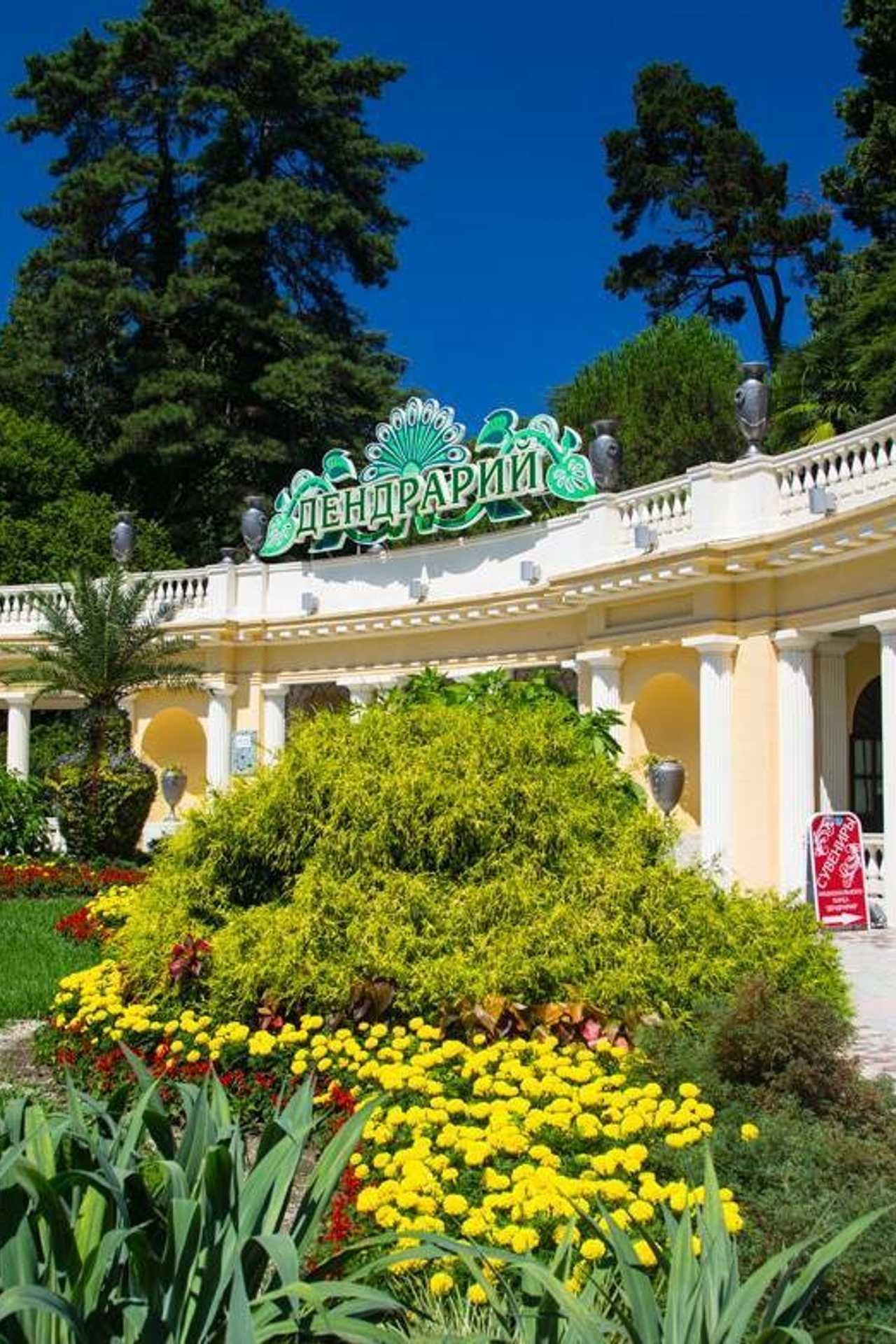 Сочинский дендрарий