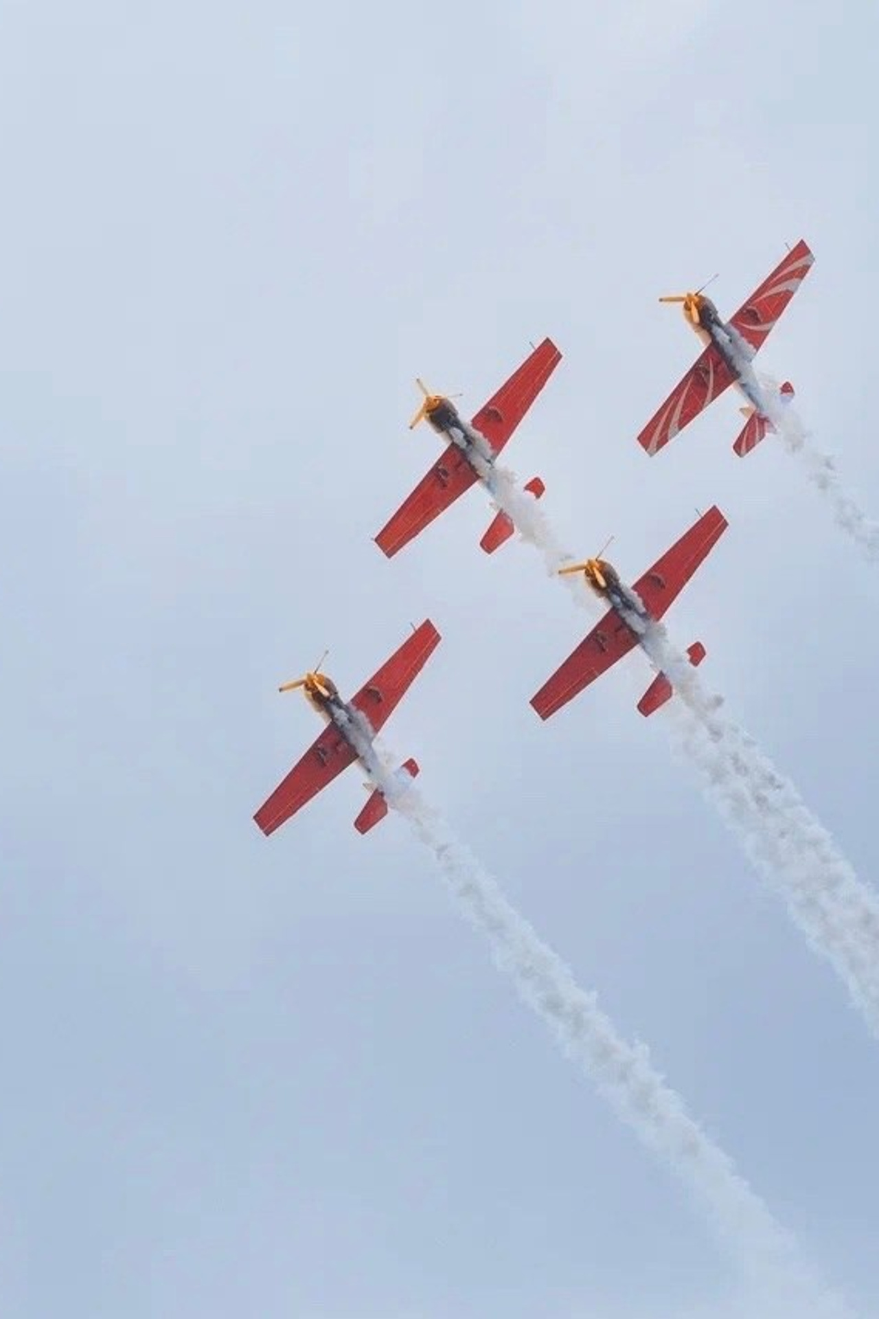 Портфолио для тендеров Ситилинк|Sale Easy