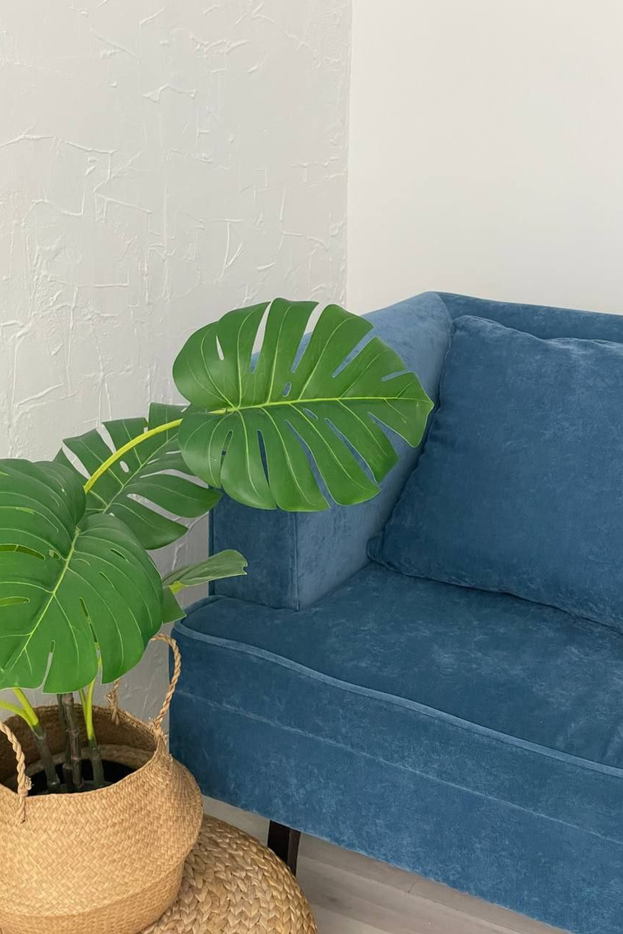 Студия Мята Зал #1 для предметной съемки Сочи|Sale Easy