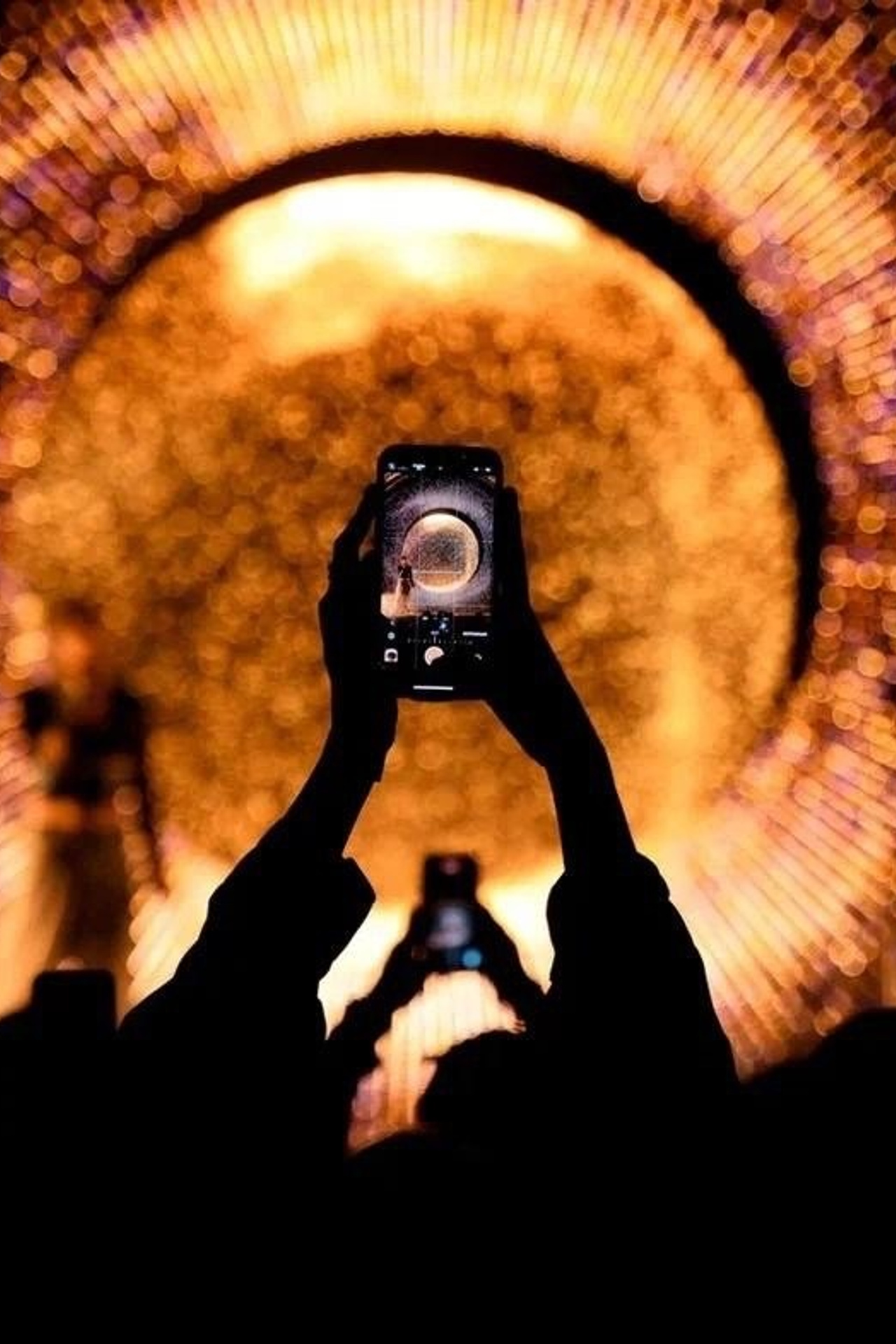 Портфолио для тендеров Ситилинк|Sale Easy