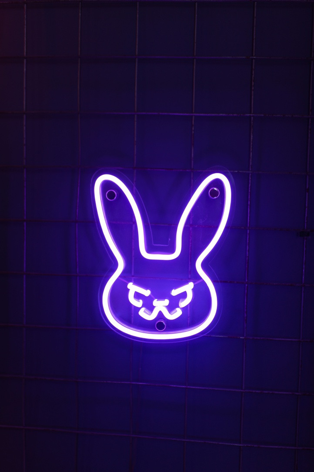 Студия 2412STUDIO Зал #NEON для предметной съемки Сочи|Sale Easy