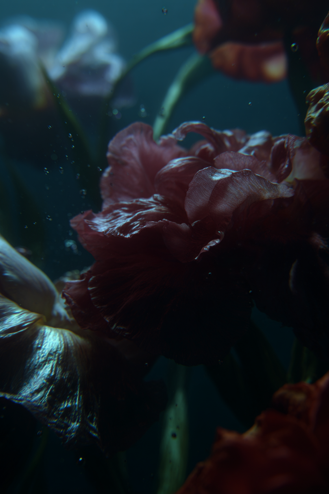 Creative Direction. Ekaterina, AI Visual Director