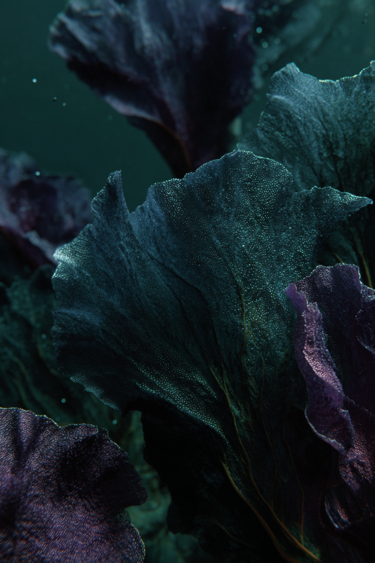Creative Direction. Ekaterina, AI Visual Director