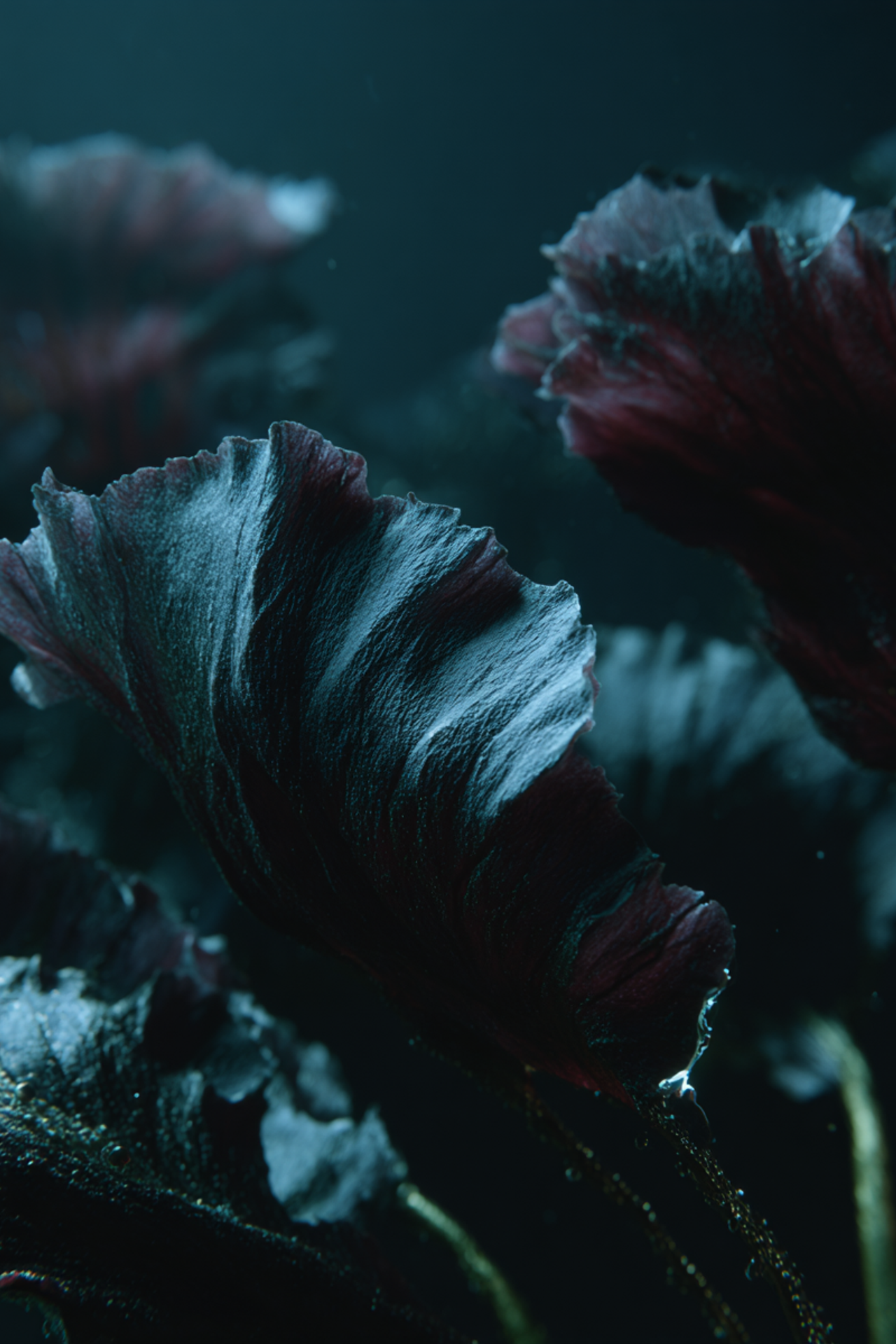 Creative Direction. Ekaterina, AI Visual Director