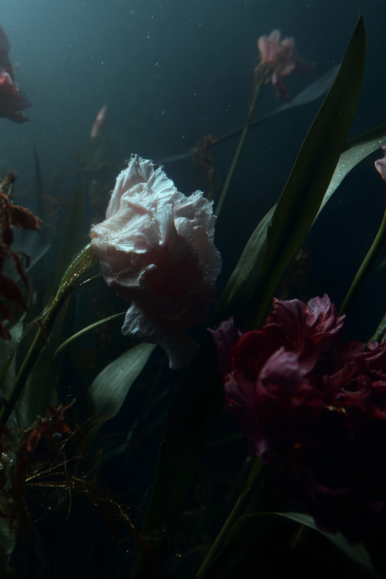 Creative Direction. Ekaterina, AI Visual Director