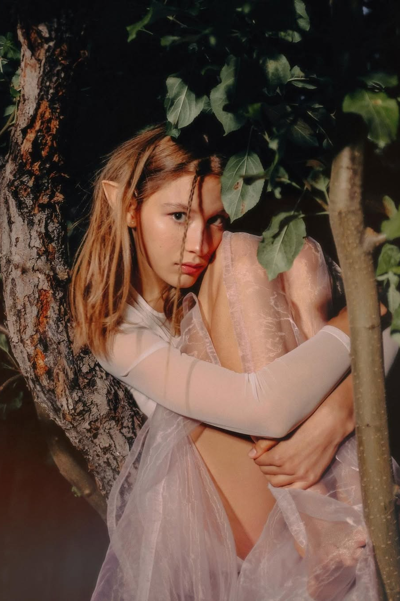 fairy