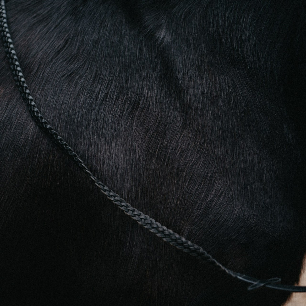 Отзывы. Фотограф Санкт-Петербург Кристина Доценко