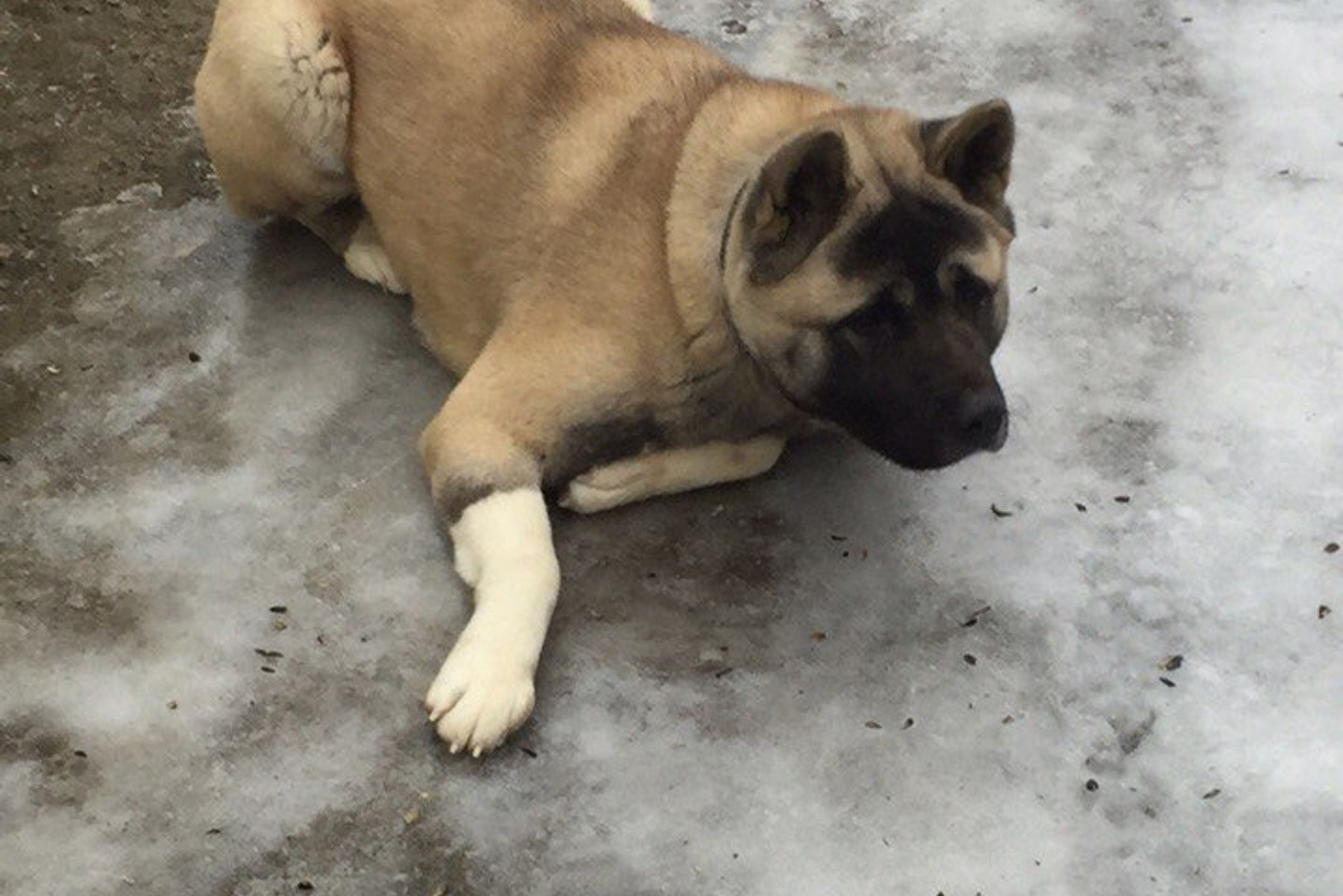 Svargas Dancing in the rain