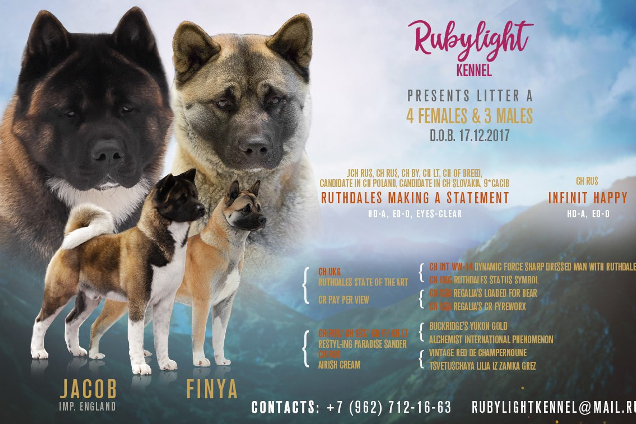 помет А общее