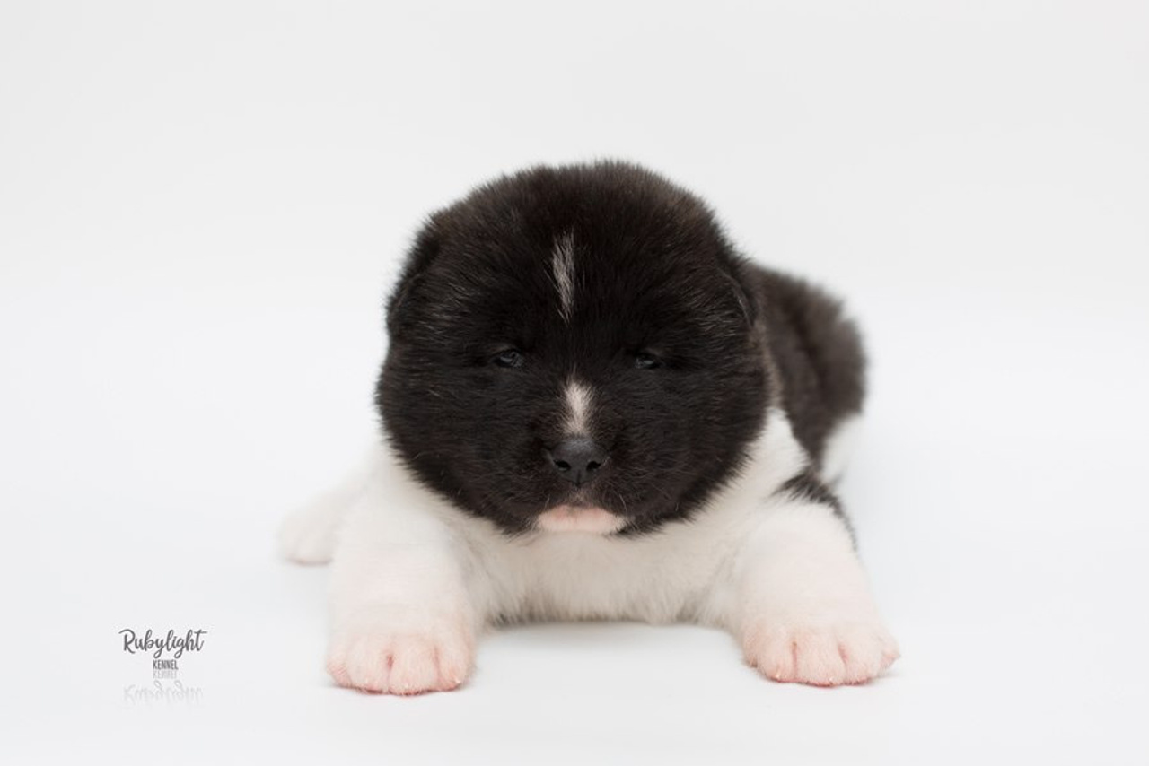 RUBYLIGHT AYRISH * Айриш