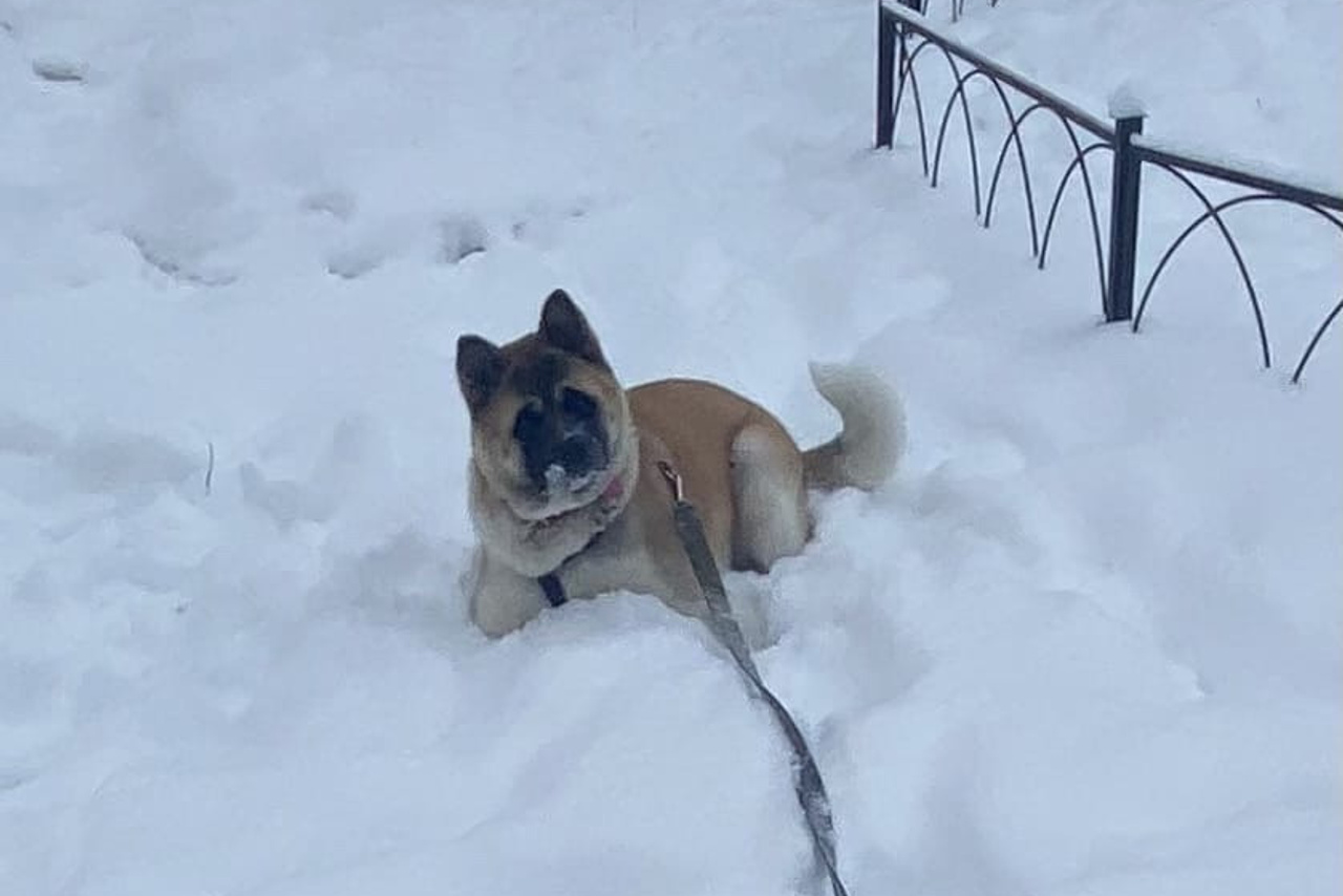 RUBYLIGHT GARMONIA * Гаара