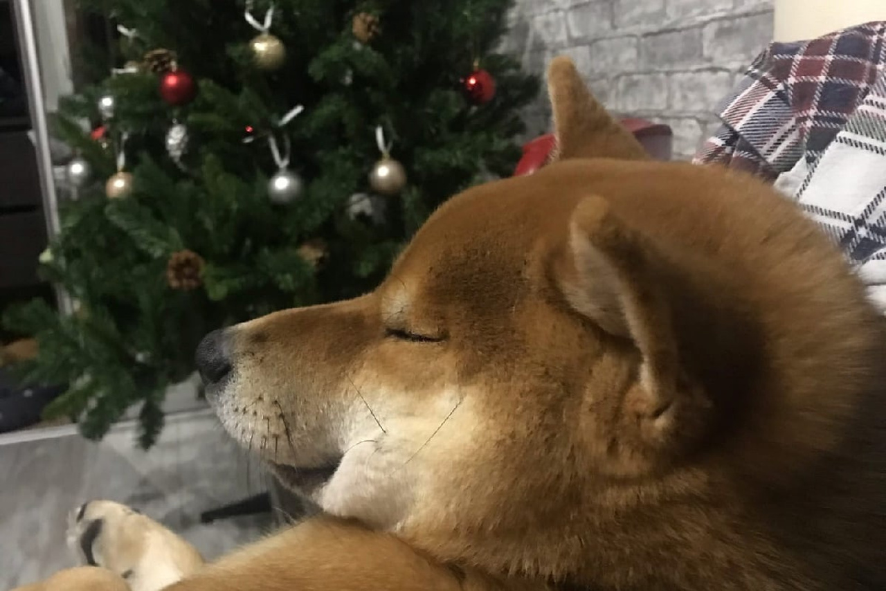 RUBYLIGHT DIN WINCHESTER