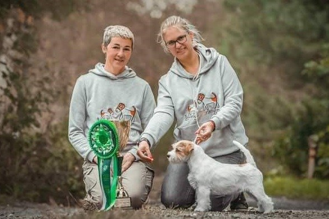 Lovely-Orange питомник джек рассел терьеров